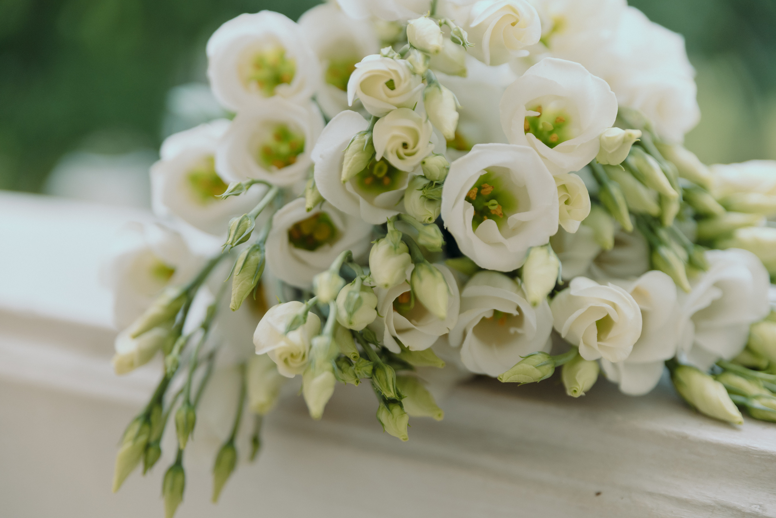 О+Д. Фотограф в Санкт-Петербурге Юлия Стехова