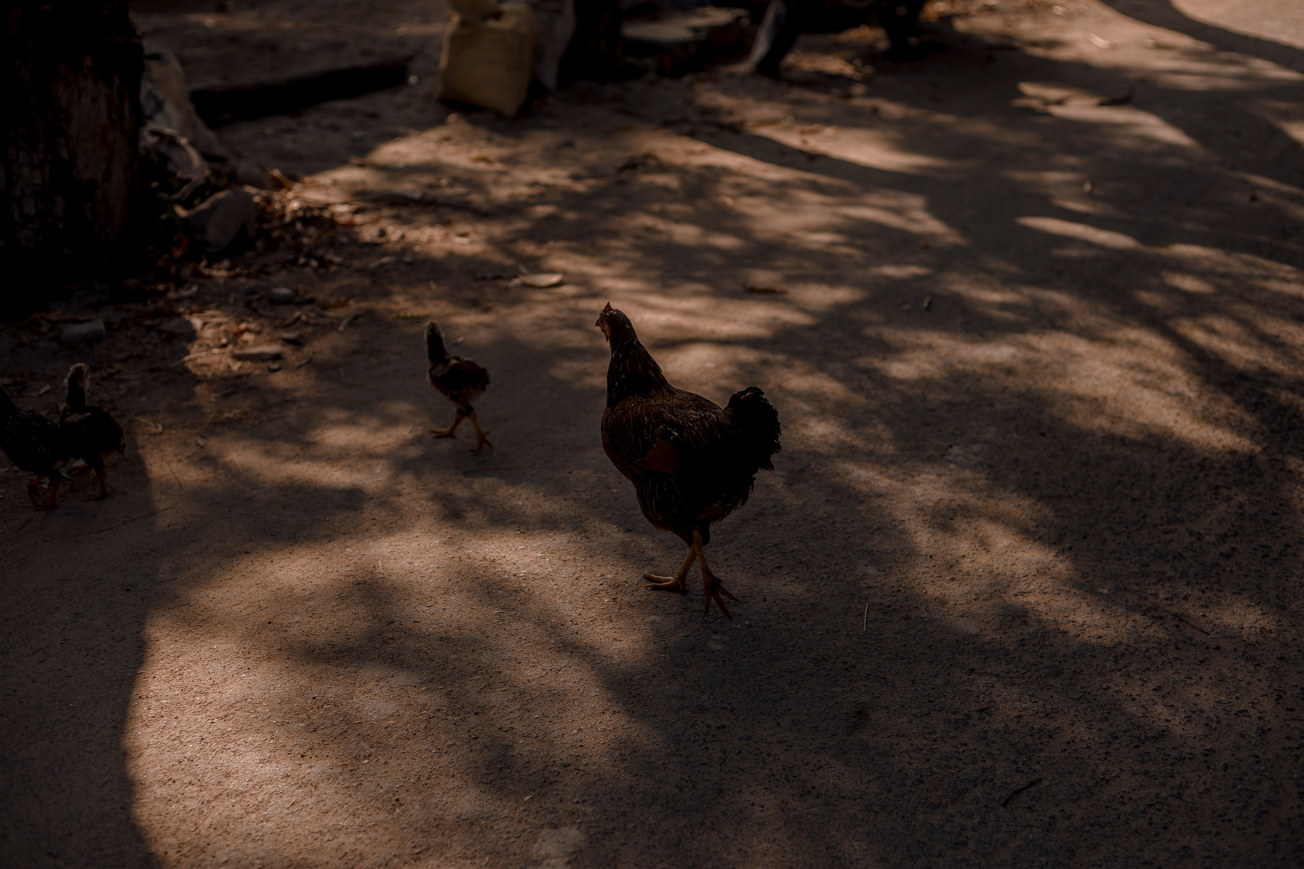 Andaman Islands, Part2. Art Photographer