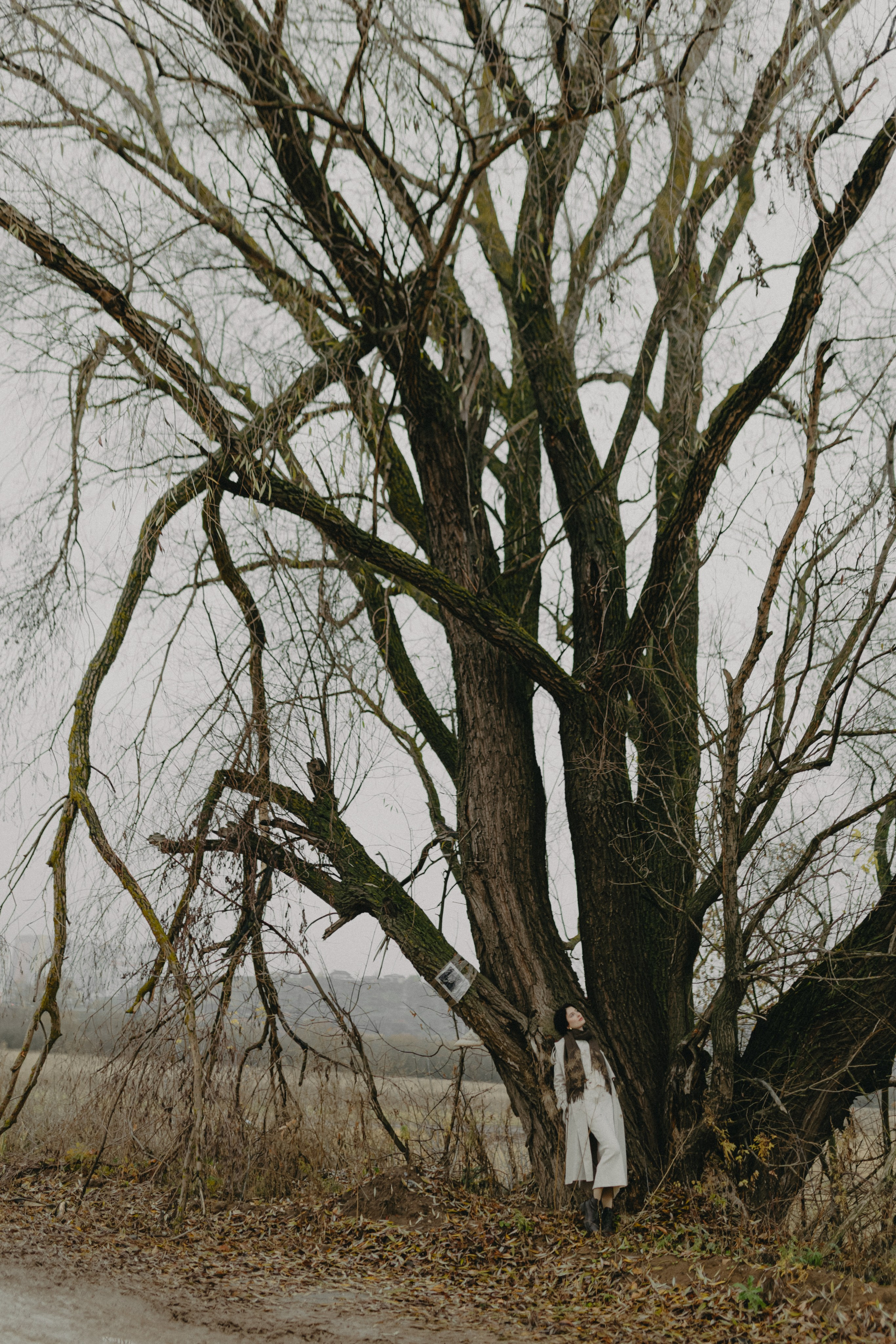 Диана и Антон. Свадебный и семейный фотограф Женя Добрянская в Нижнем Новгороде