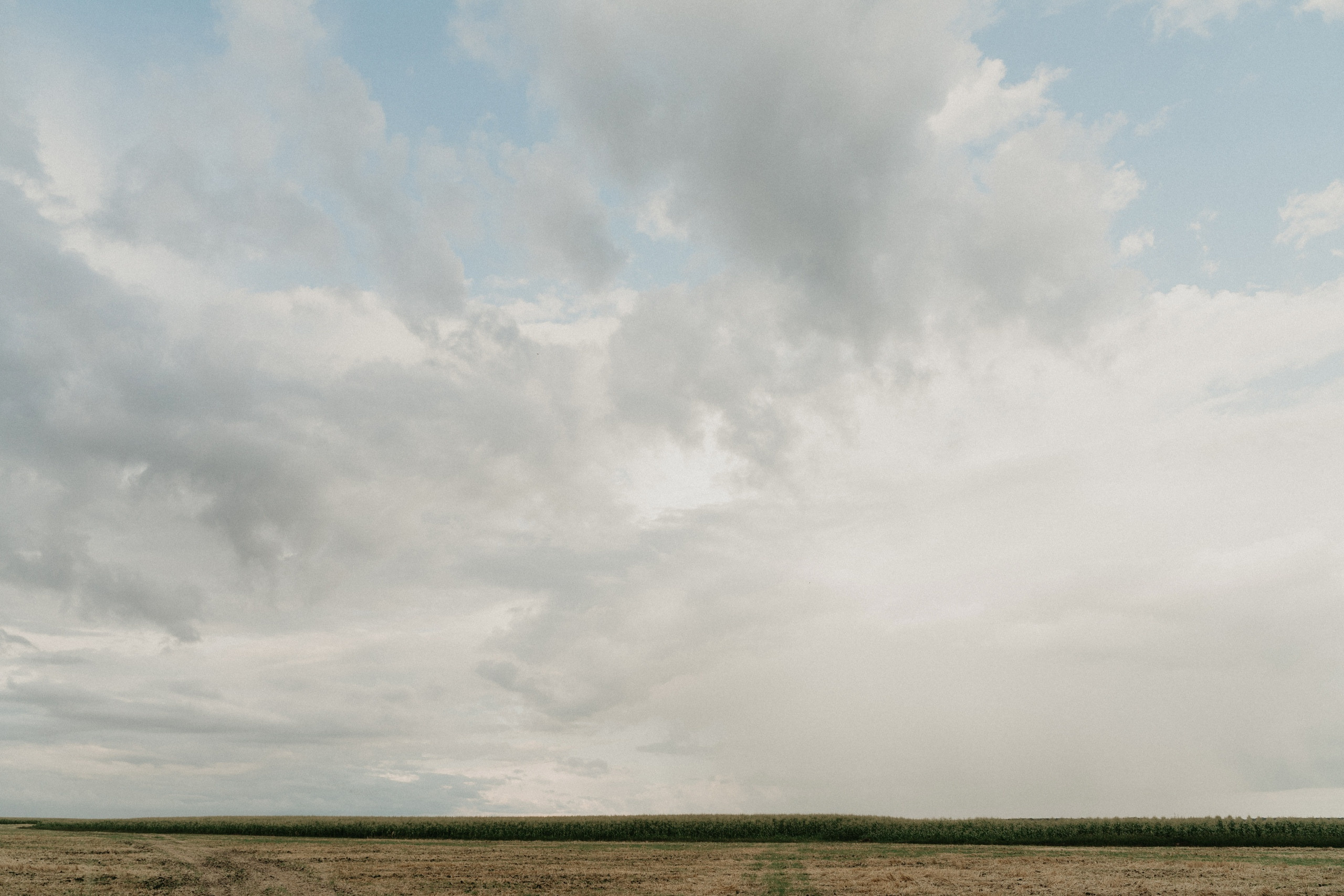 Антон + Рената + Злата. Свадебный фотограф в Белгороде Антон Каменев