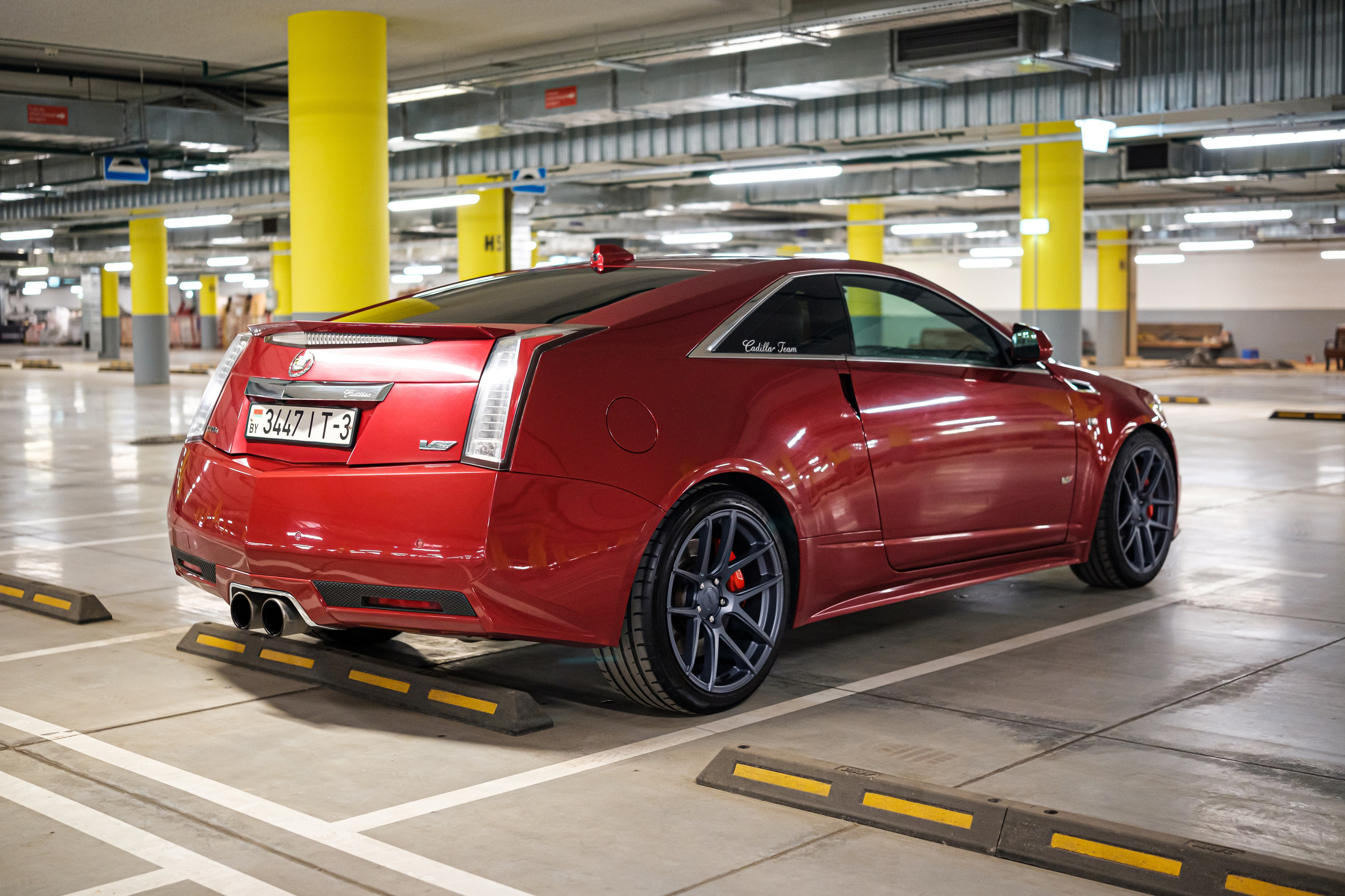 Кэдди. Алексей Никифоров фотограф Москва, Химки