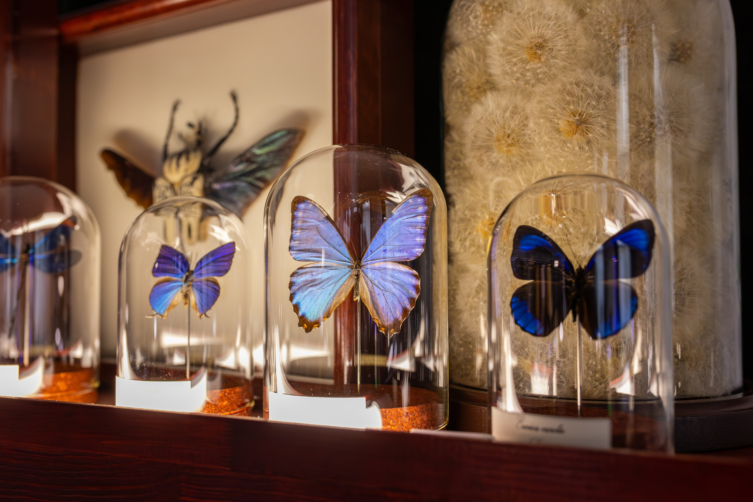 Монстериум 11–12 октября. Александра Куликова фотограф, Москва