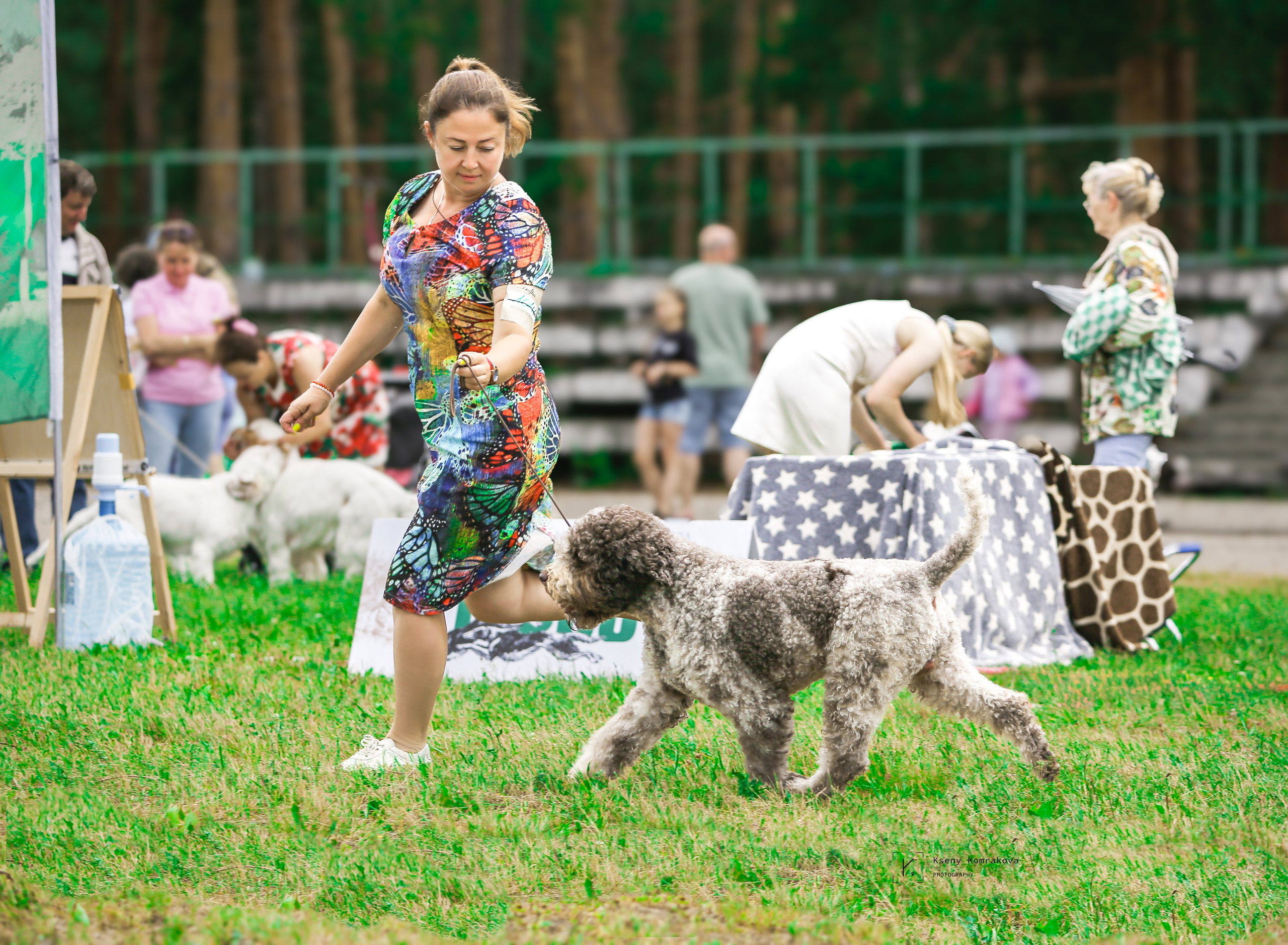 Съемка собак. Анималистика. Репортаж. Индивидуальная съемка