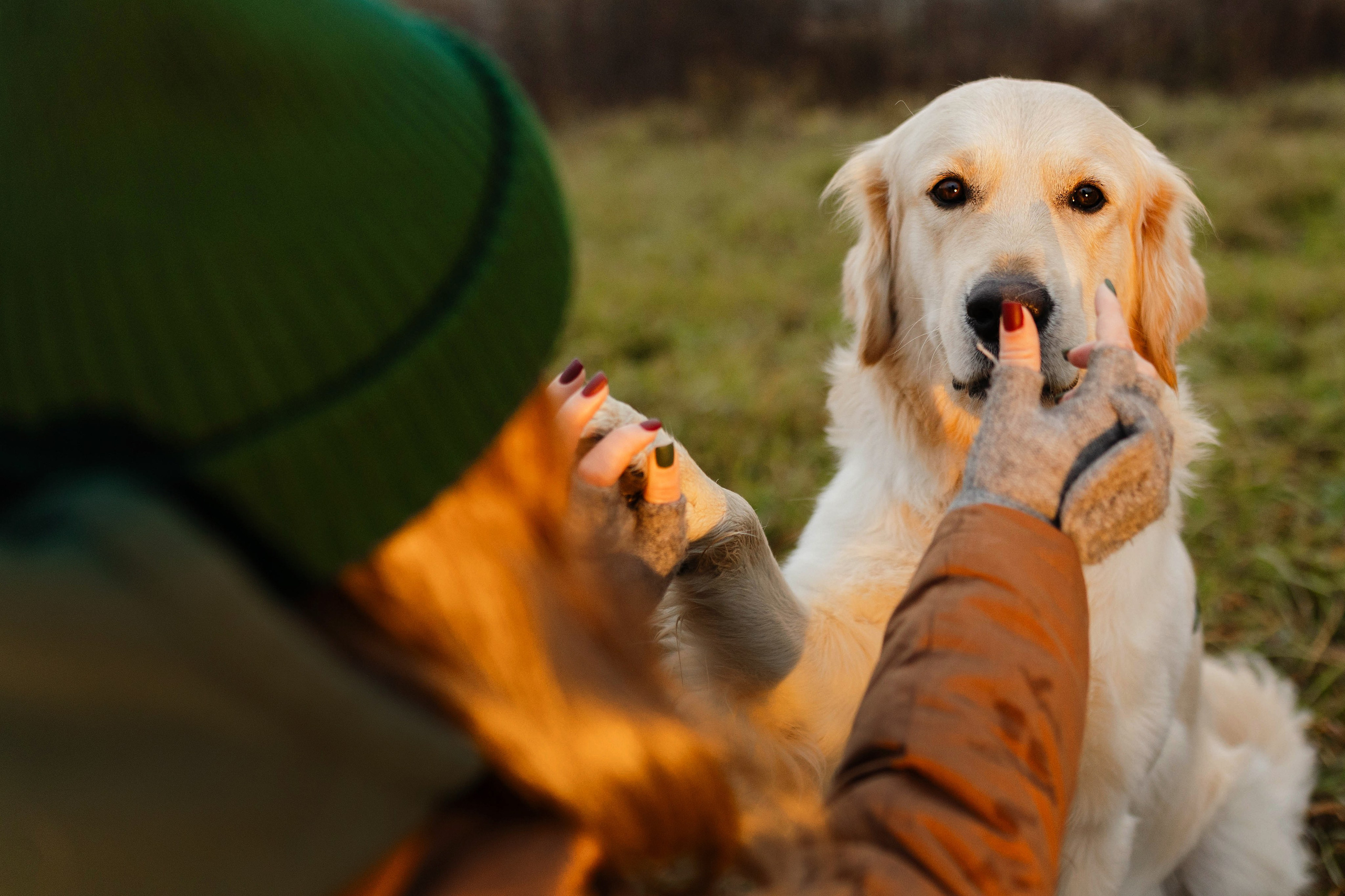 Dogcamp / Полина и Миша. Фотограф Кузина Вера