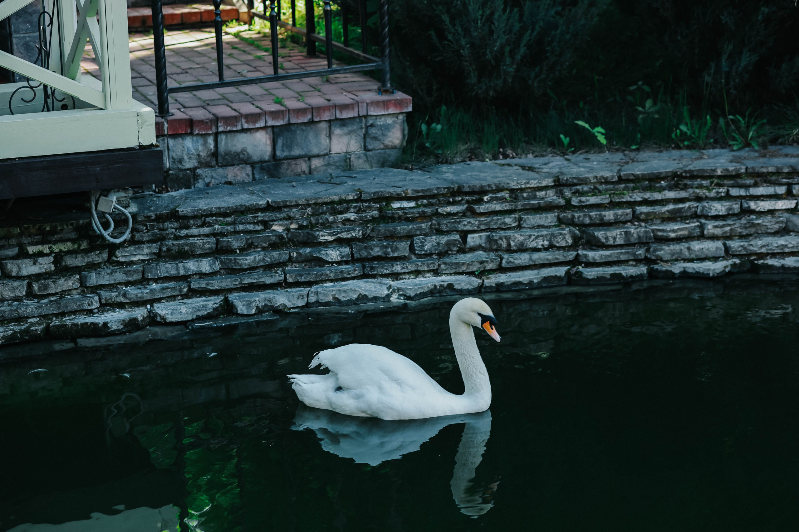 Фотосессия Даско Гарден. Иванова Ирина Свадебный и семейный фотограф г. Уфа