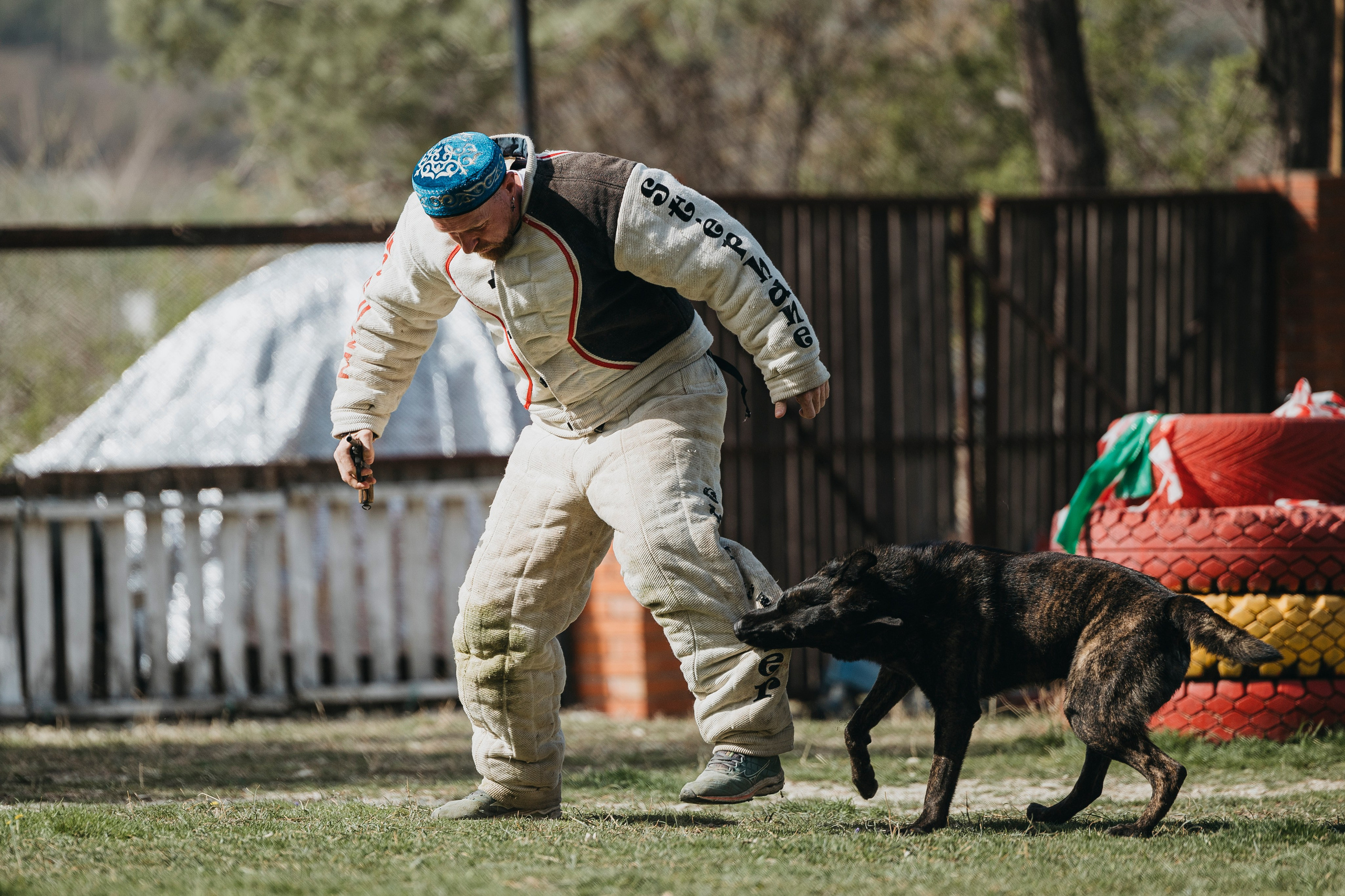 Геленджик Мондьоринг. Фотограф-анималист Анна Маринич