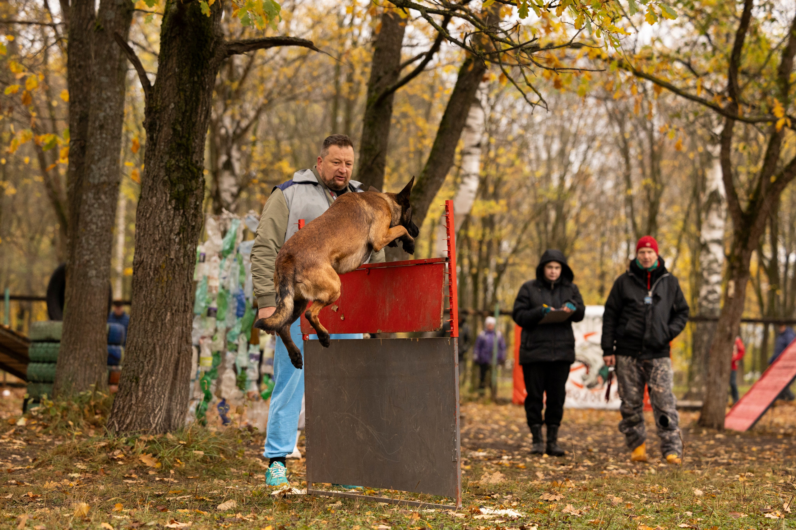 Соревнования по Мондьорингу г. Вологда. Фотограф-анималист Анна Маринич