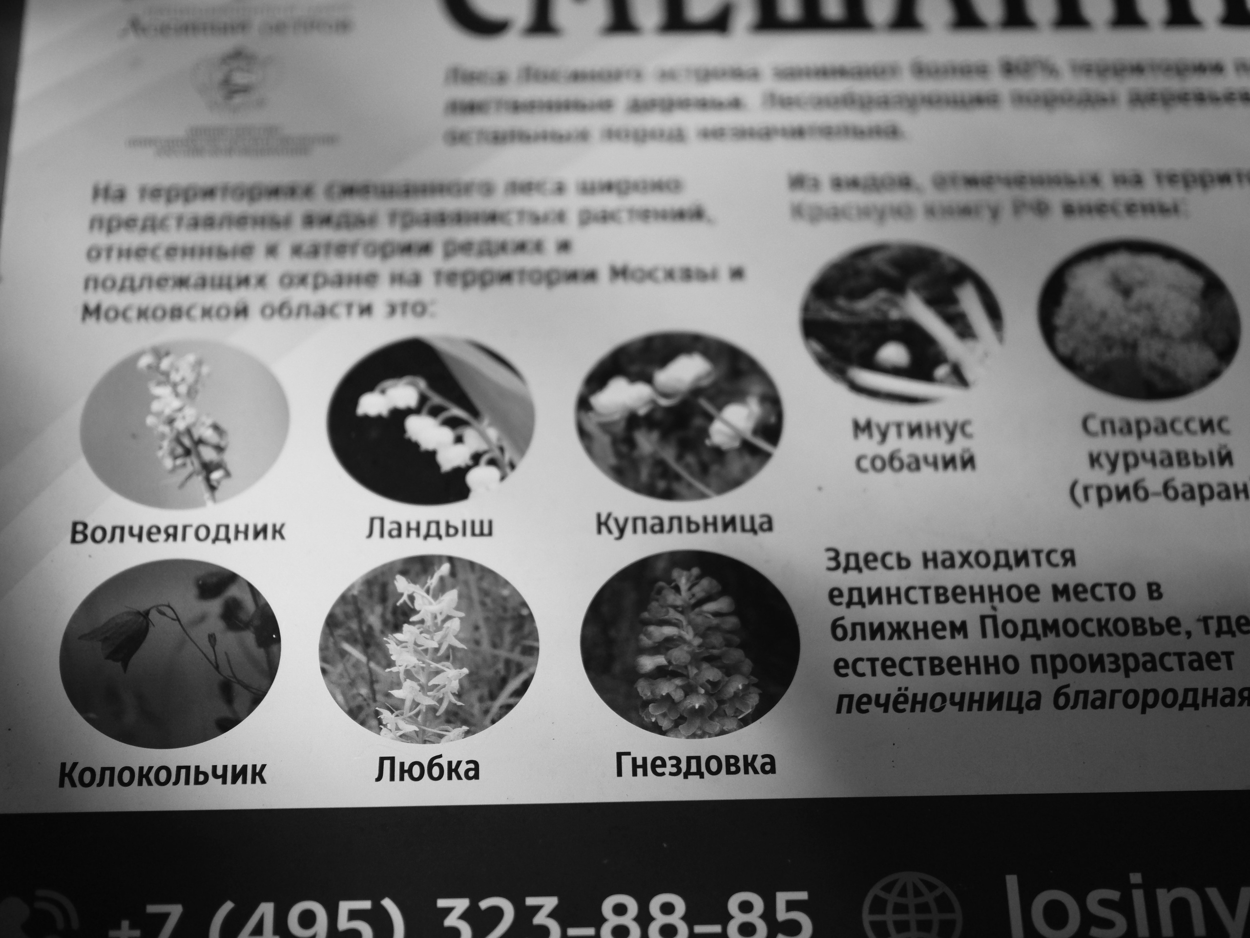 2024.10 Семейный выезд «Лосиный остров». Любитель фотографии Алексей Ковалев