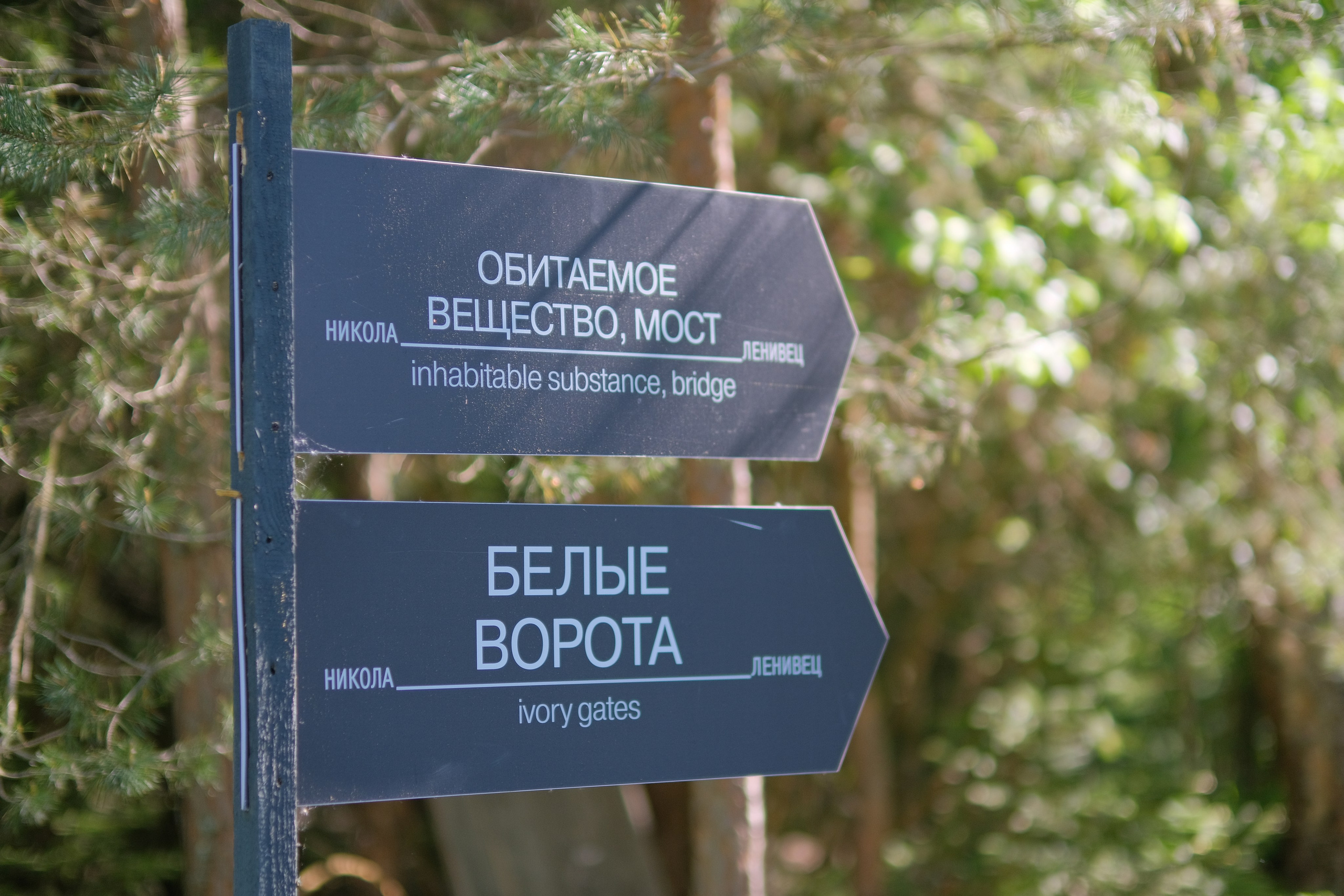 2021.05 В гостях у Бобура. Никола-Ленивец. Любитель фотографии Алексей Ковалев