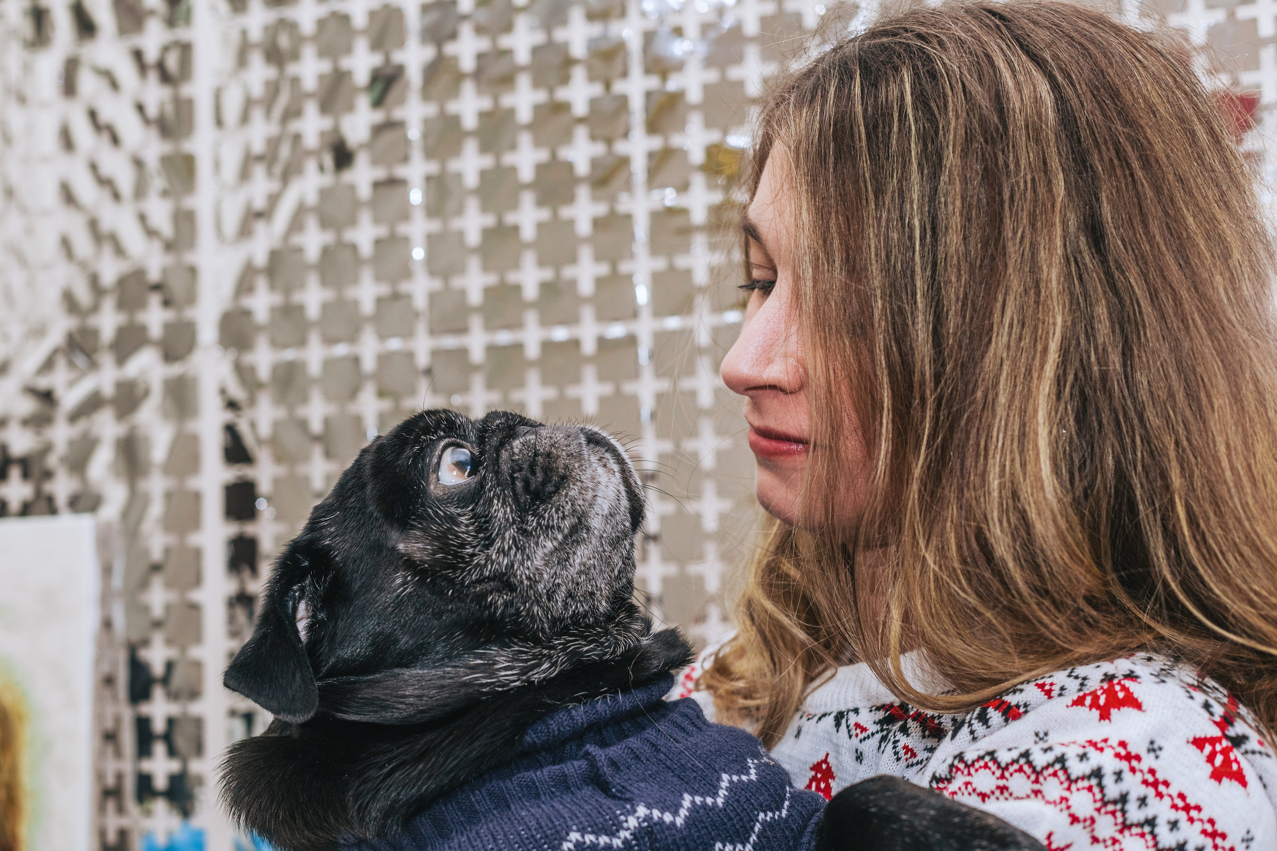 Домашняя фотосессия Оли и двух ее мопсов. Фотограф-анималист Татьяна Степанова