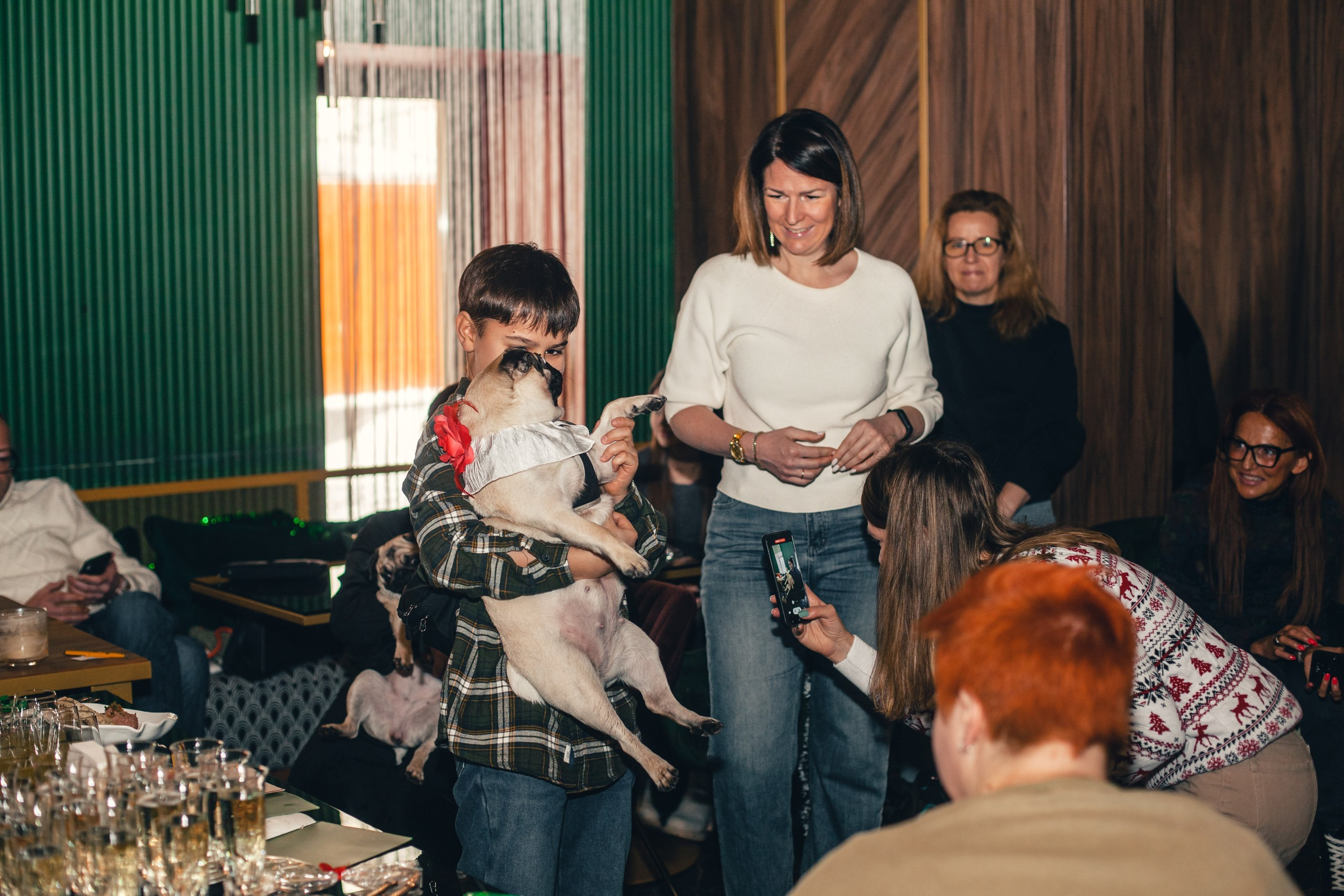 Мопсовстреча 02.12.2023. Фотограф-анималист Татьяна Степанова