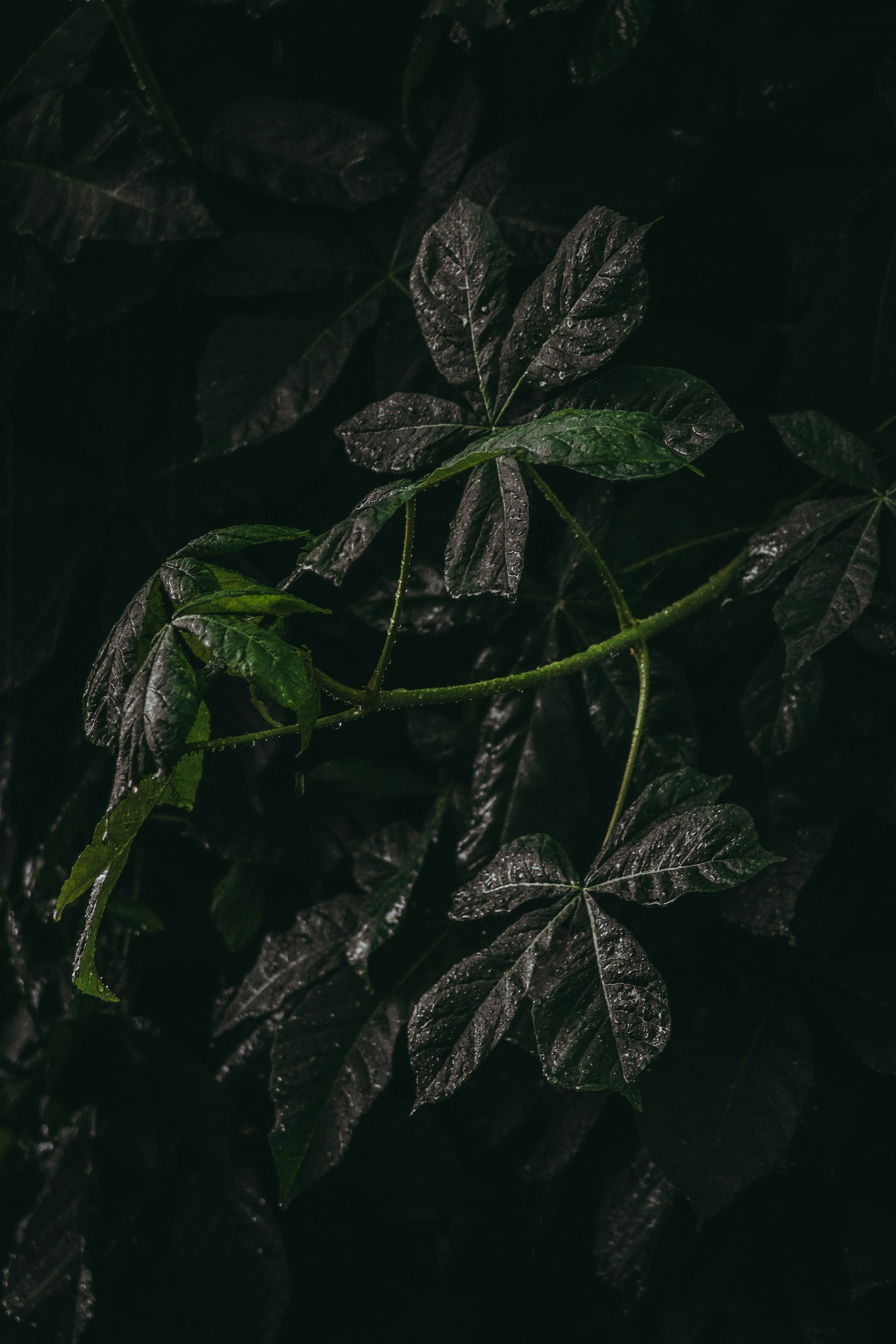 Т Е П Л Ы Й — З Е Л Е Н Ы Й. — Digital Noise —