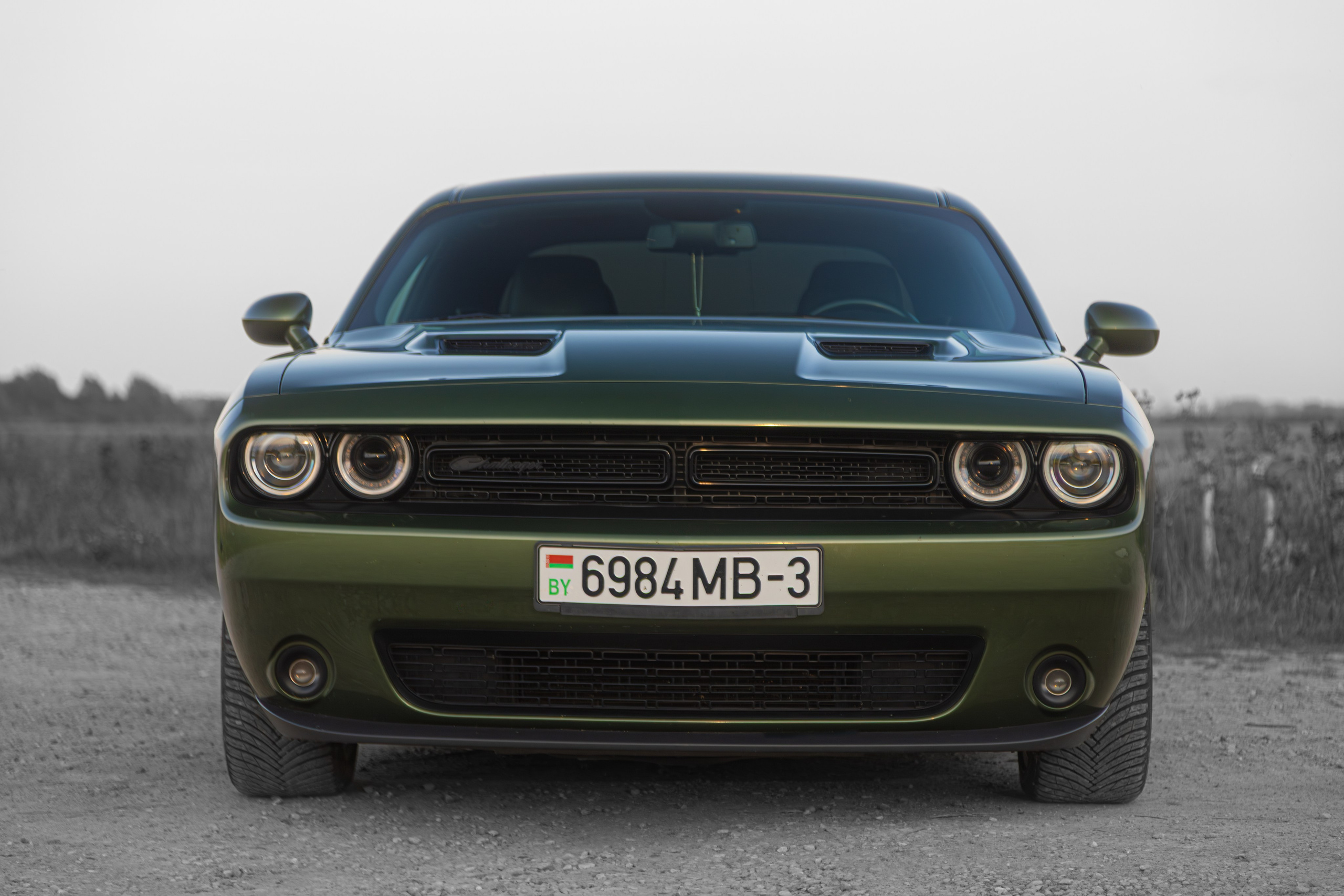 Partner Rent — Dodge Challenger. — Digital Noise —