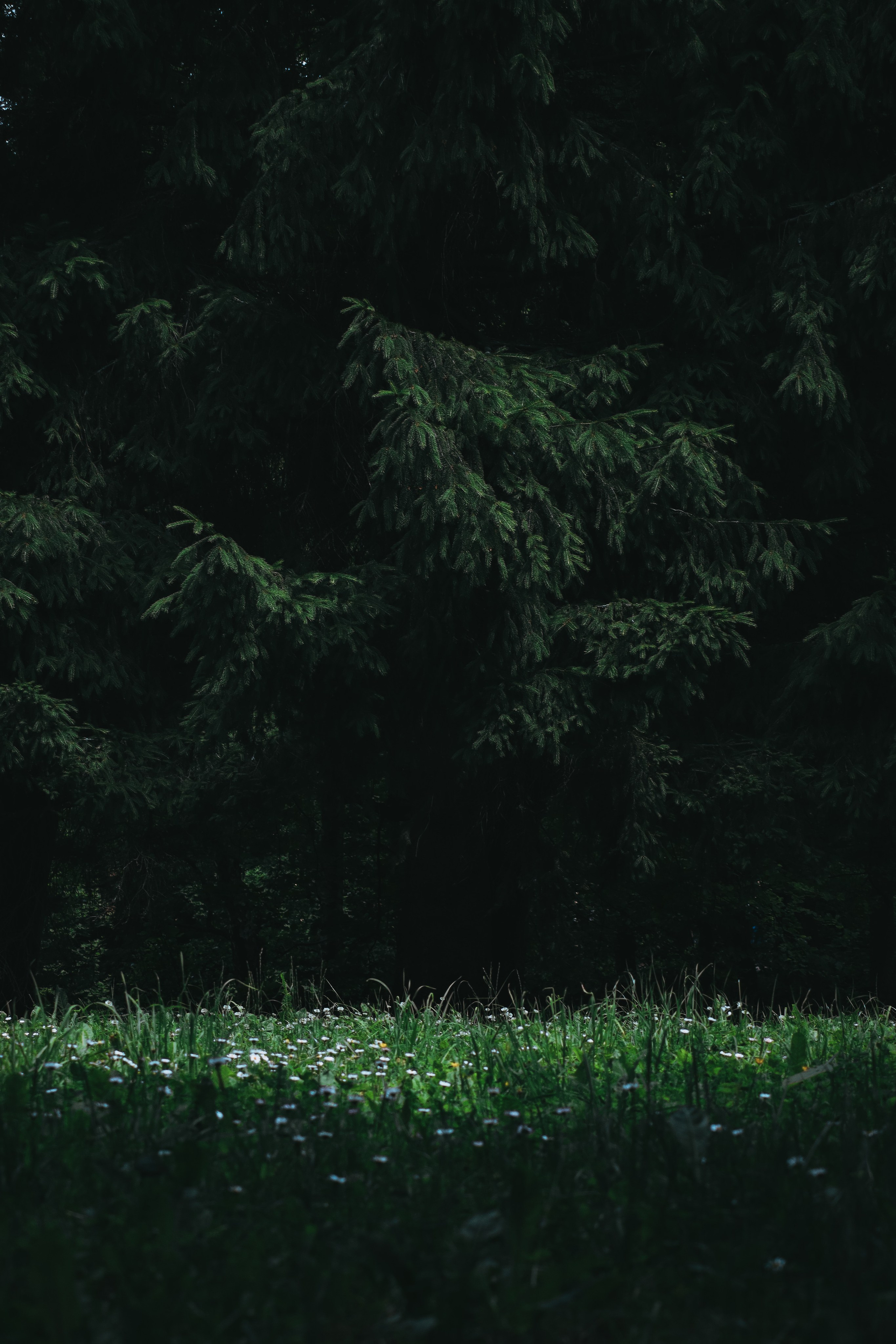 Т Е П Л Ы Й — З Е Л Е Н Ы Й. — Digital Noise —