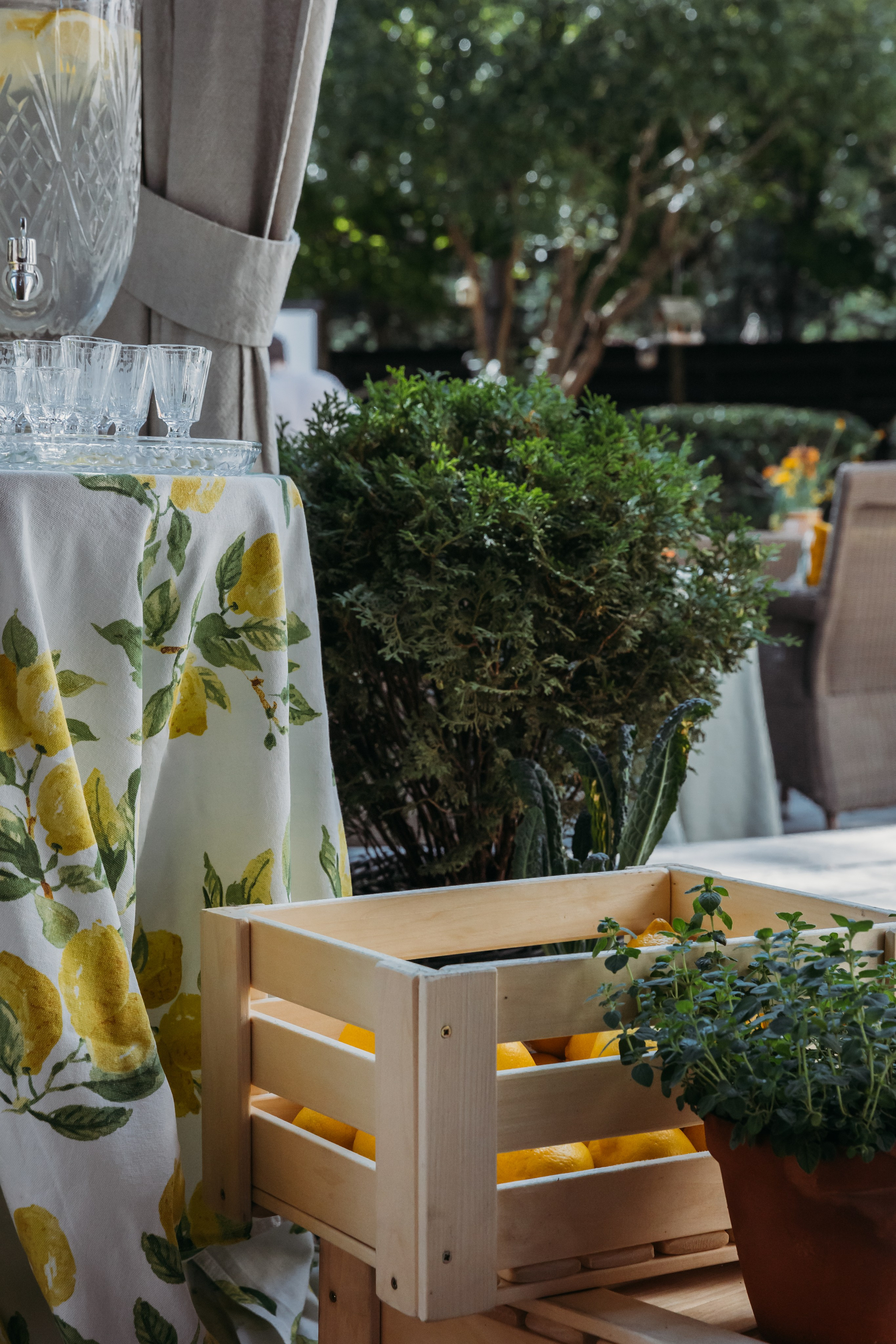 Родные люди «Итальянский день». Леся Гаранина. Семейный фотограф/видеограф Москва и область