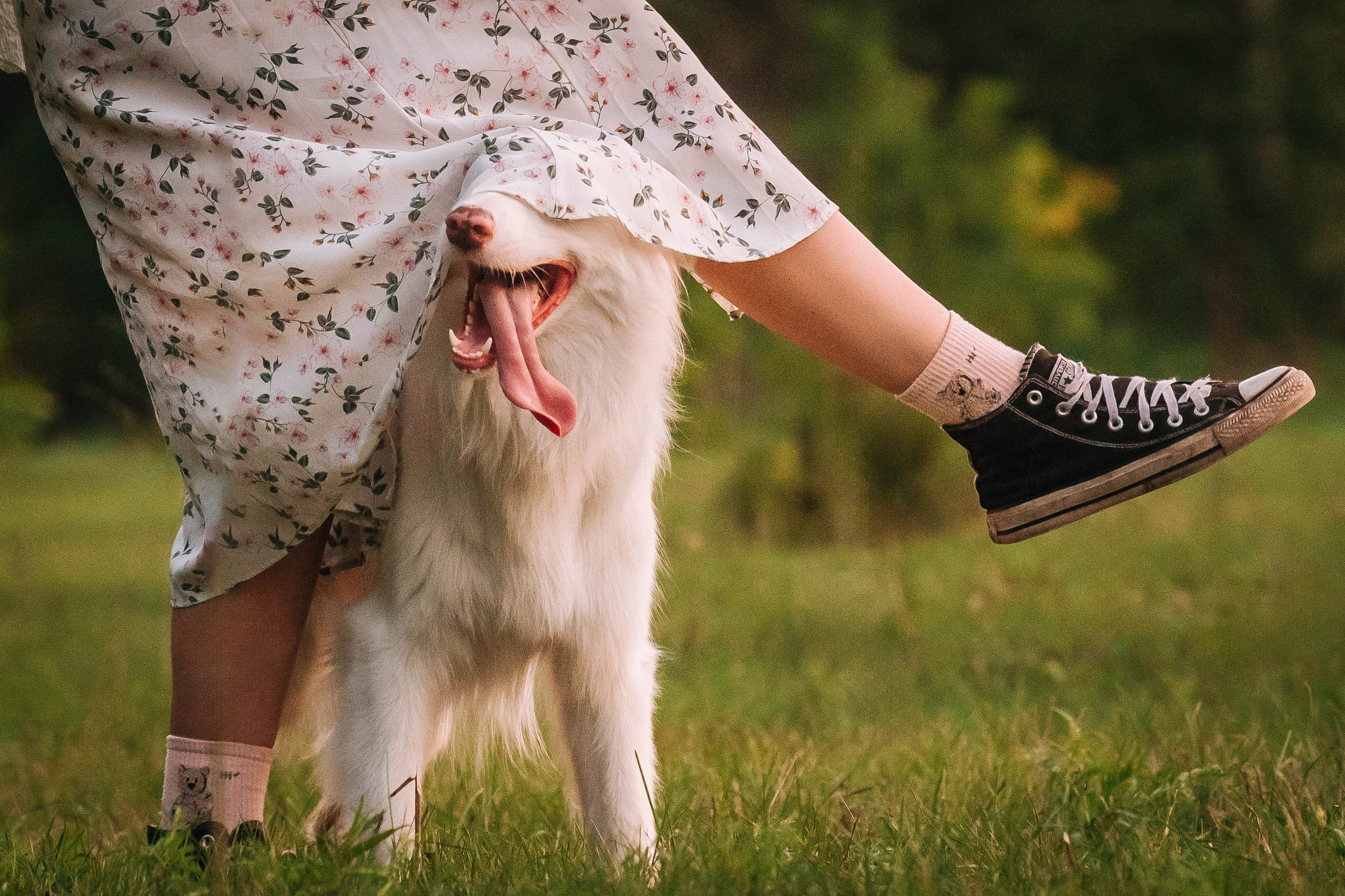 Лиза и Айви. Главная