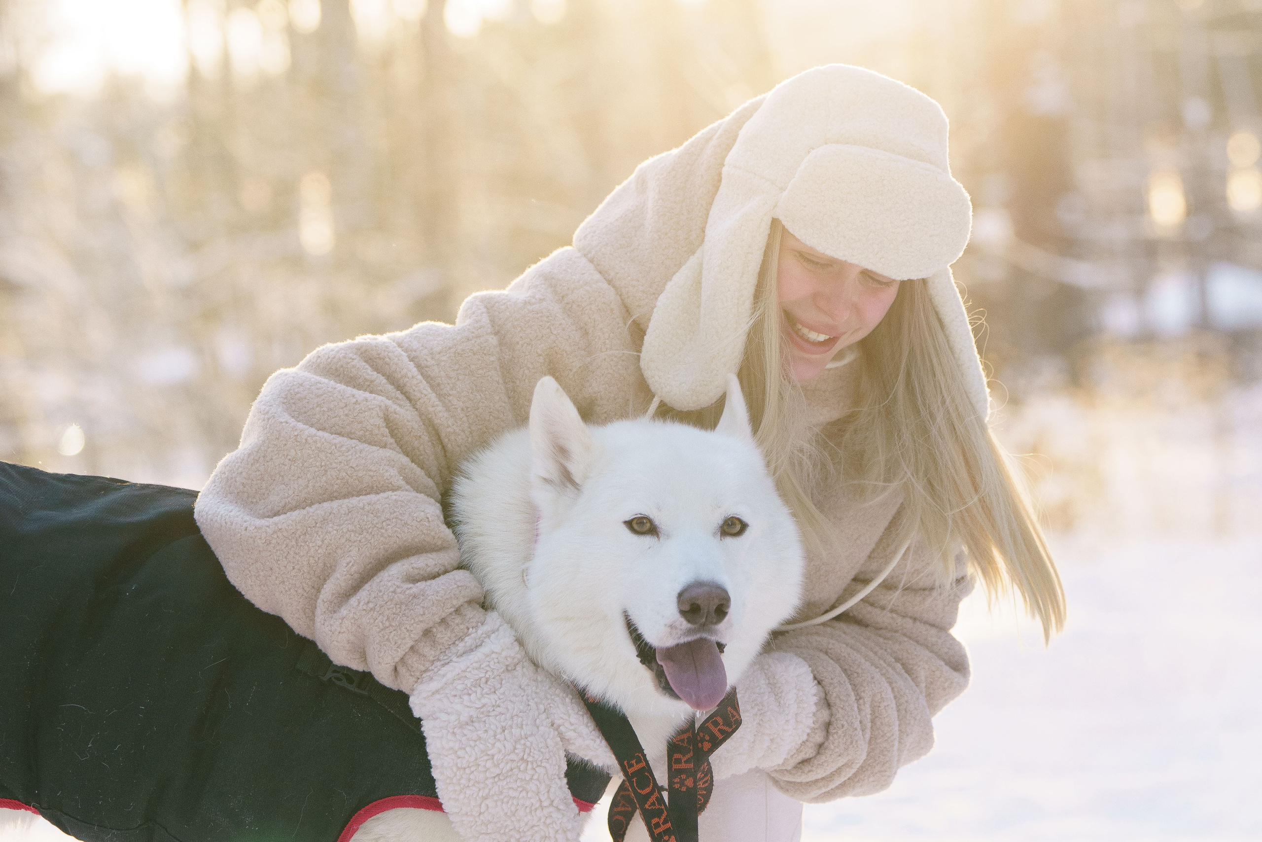 Катания на упряжке. Фотограф-анималист в Санкт-Петербурге