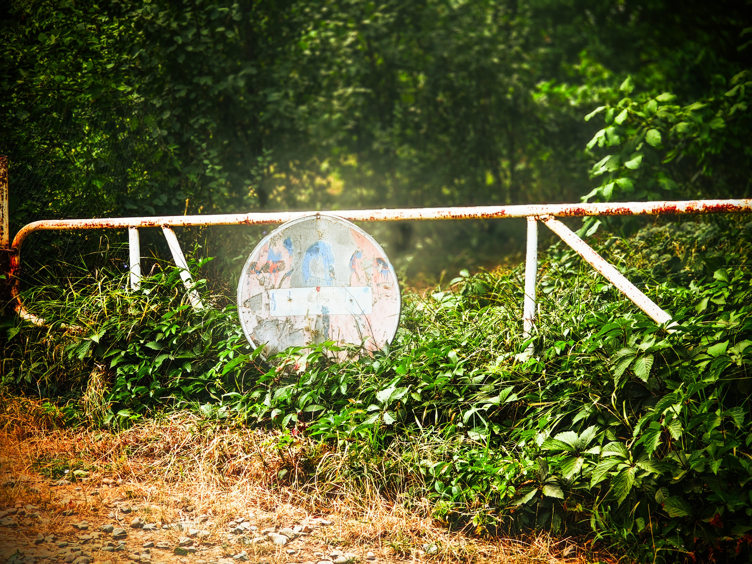 Пейзажи и уличная съёмка