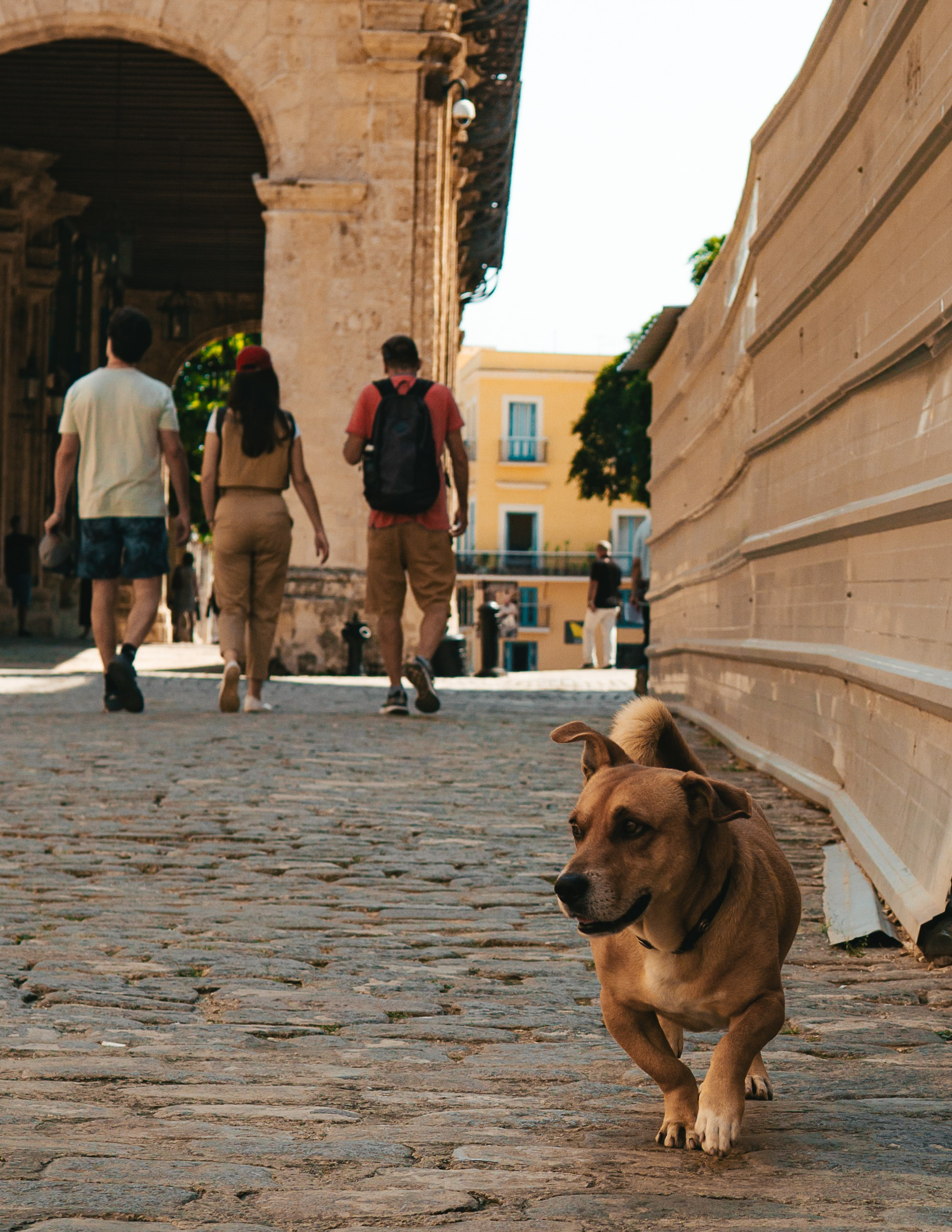 Кубинские истории. Фотограф в Москве Юлия Першина