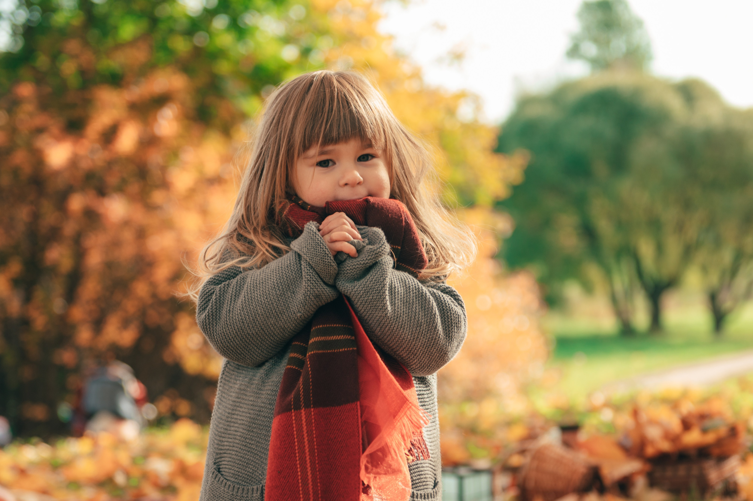 Яркая осень. Свадебный и семейный фотограф София Невская