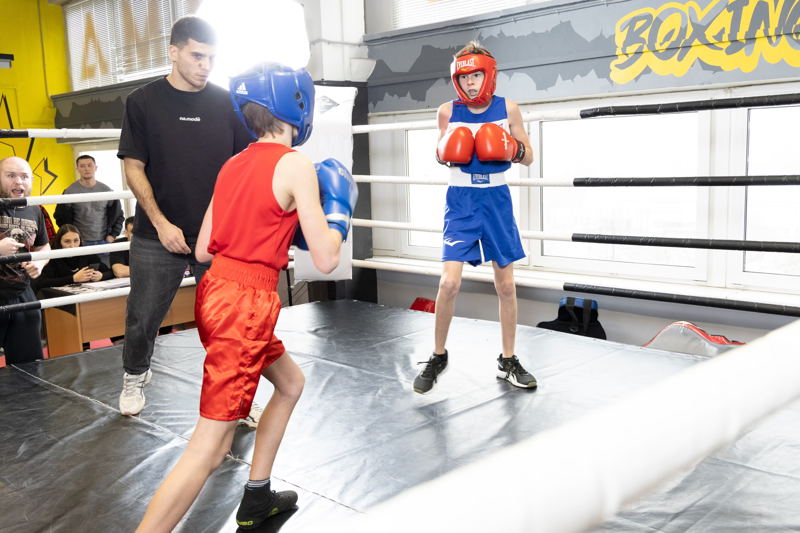 Бокс. Photomantis