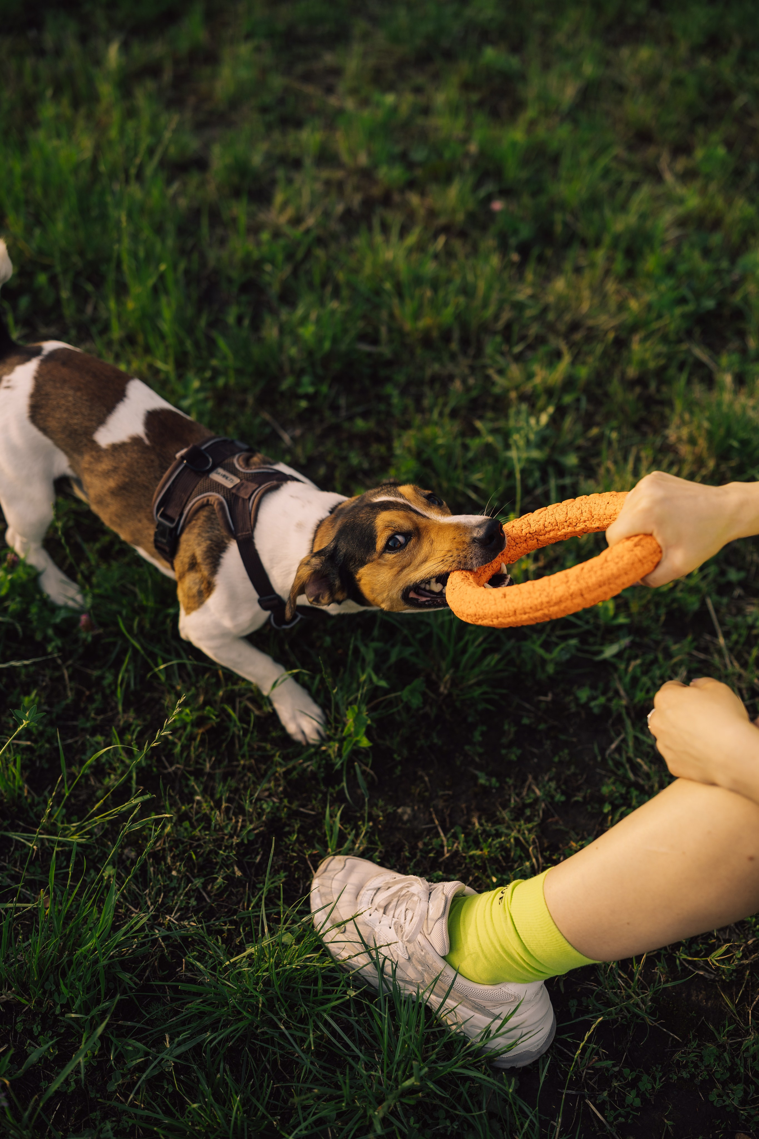 Оля Верхутина и Пипито. Фотограф в Москве Ангелина Ким