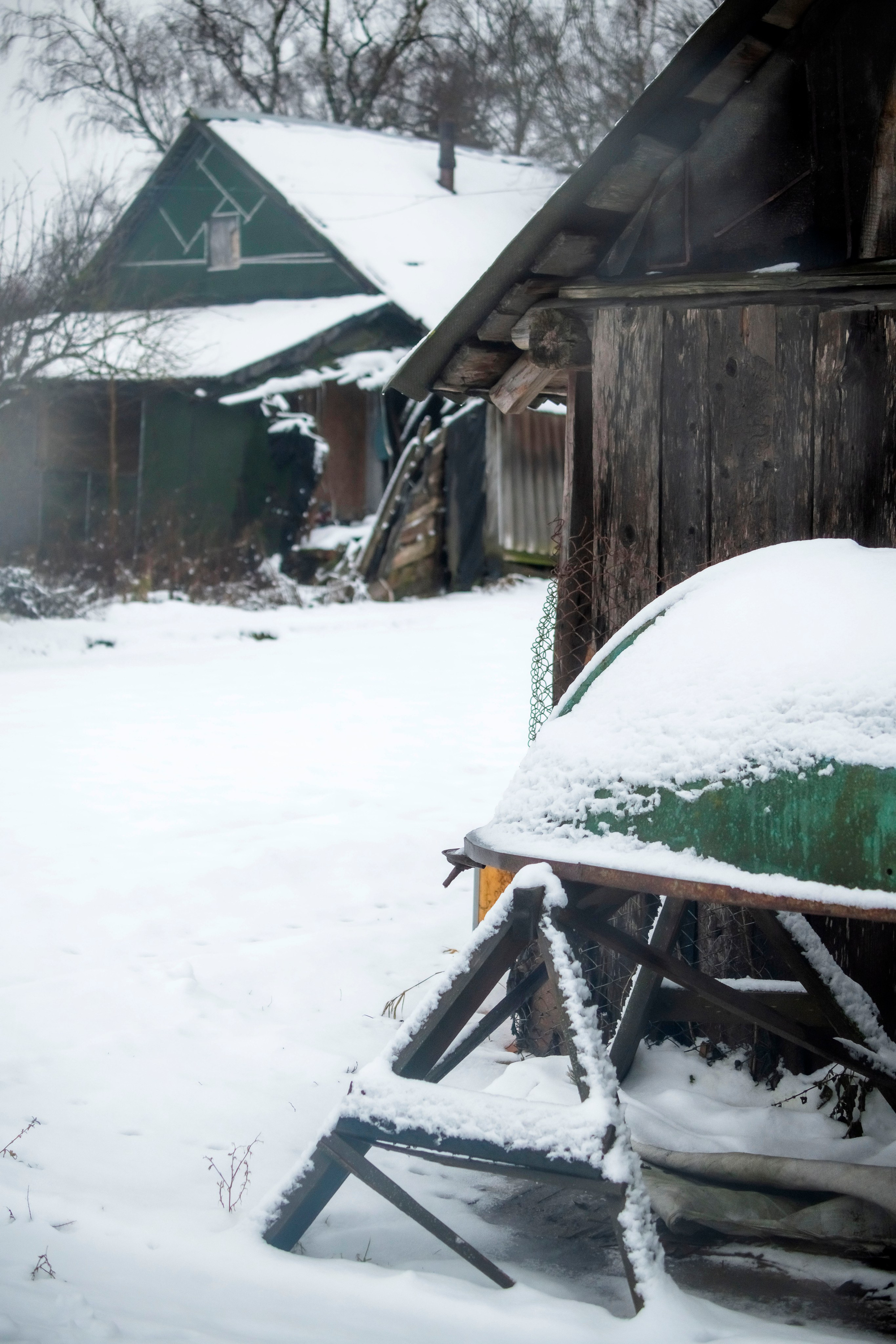 Цветные фотографии. Фотографии Лены Соколовой