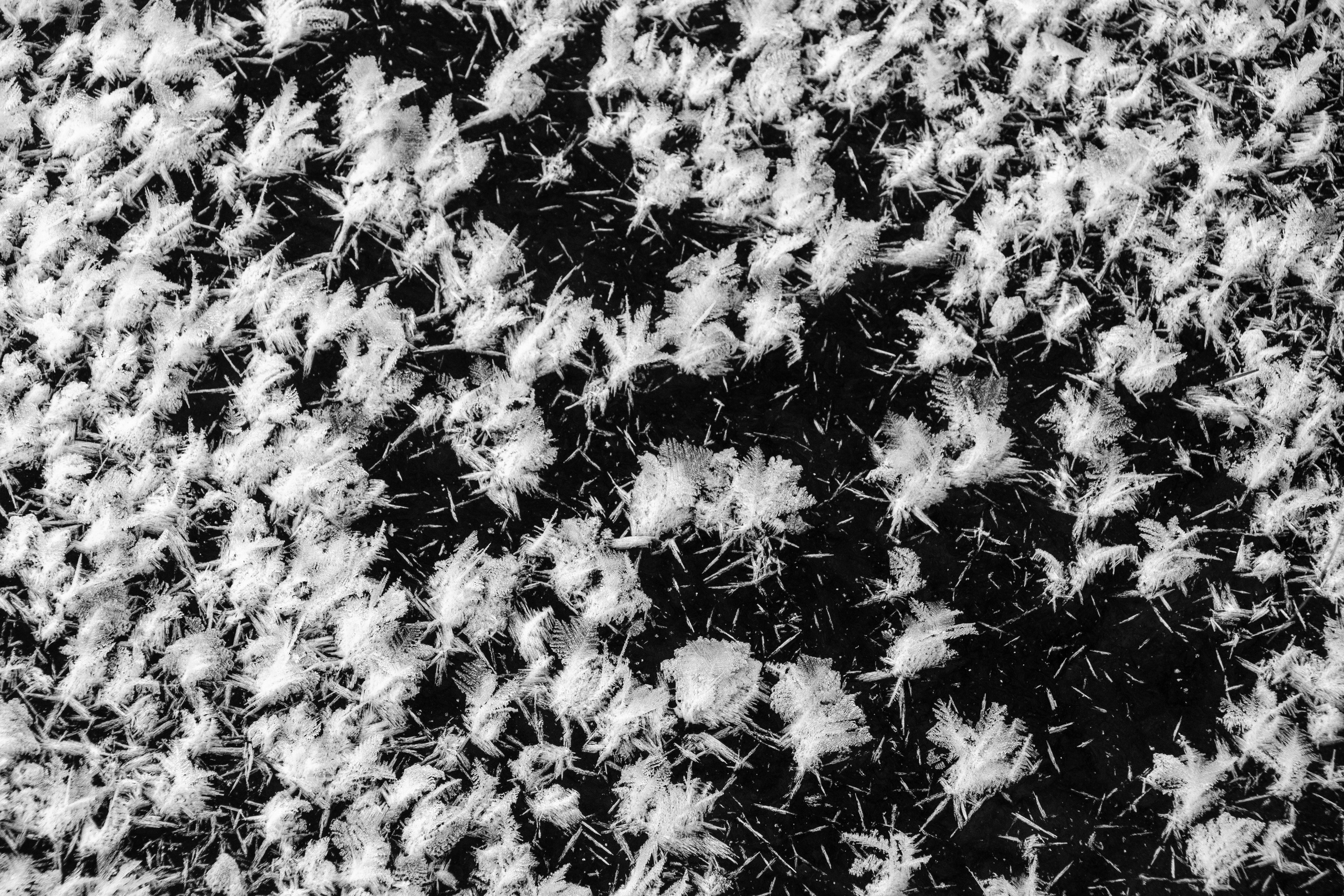 Интимный пейзаж. Олег Романов. Мастер фото по спорту