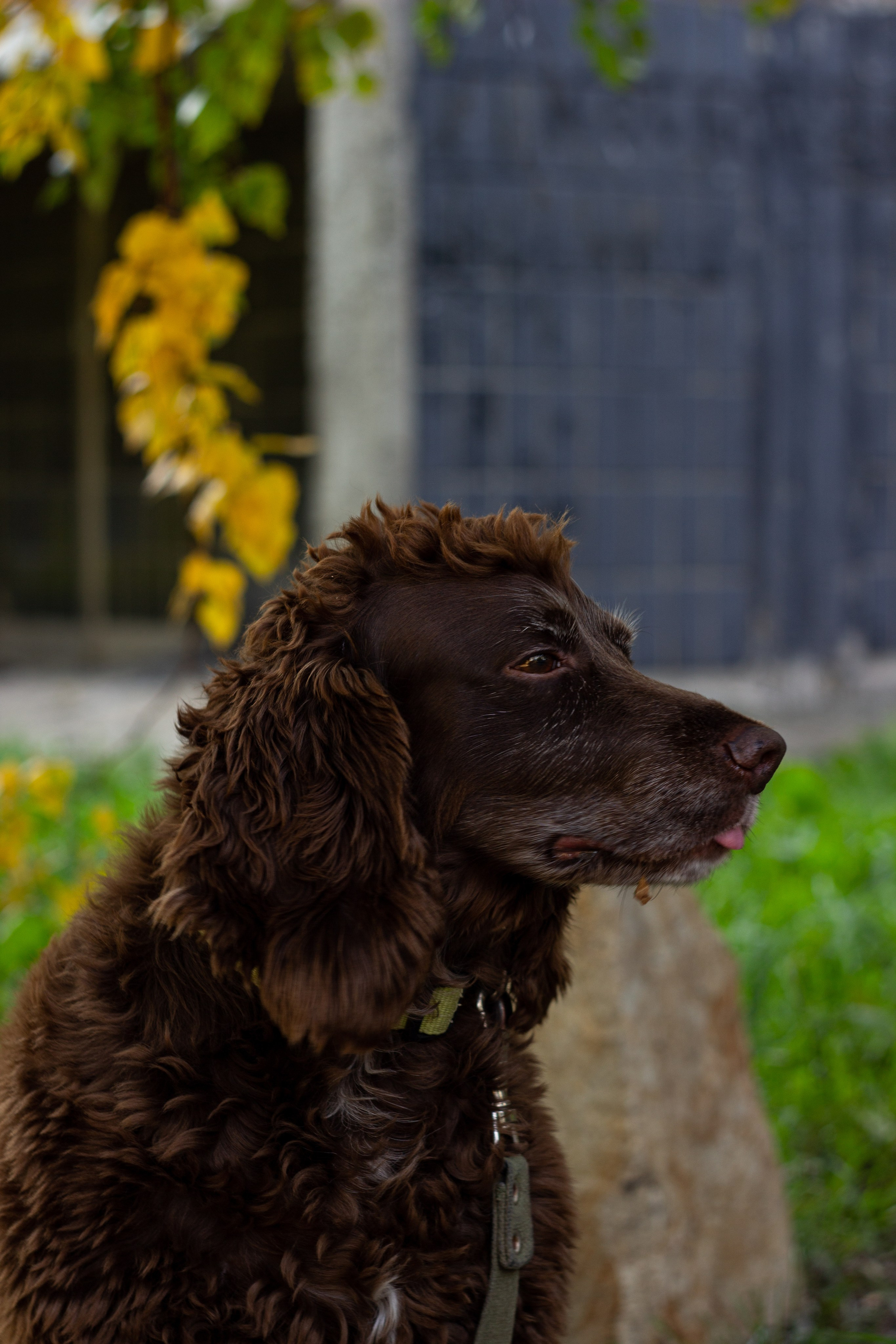 Осень '23. Сохраняю ваш свет на пленке и на цифре