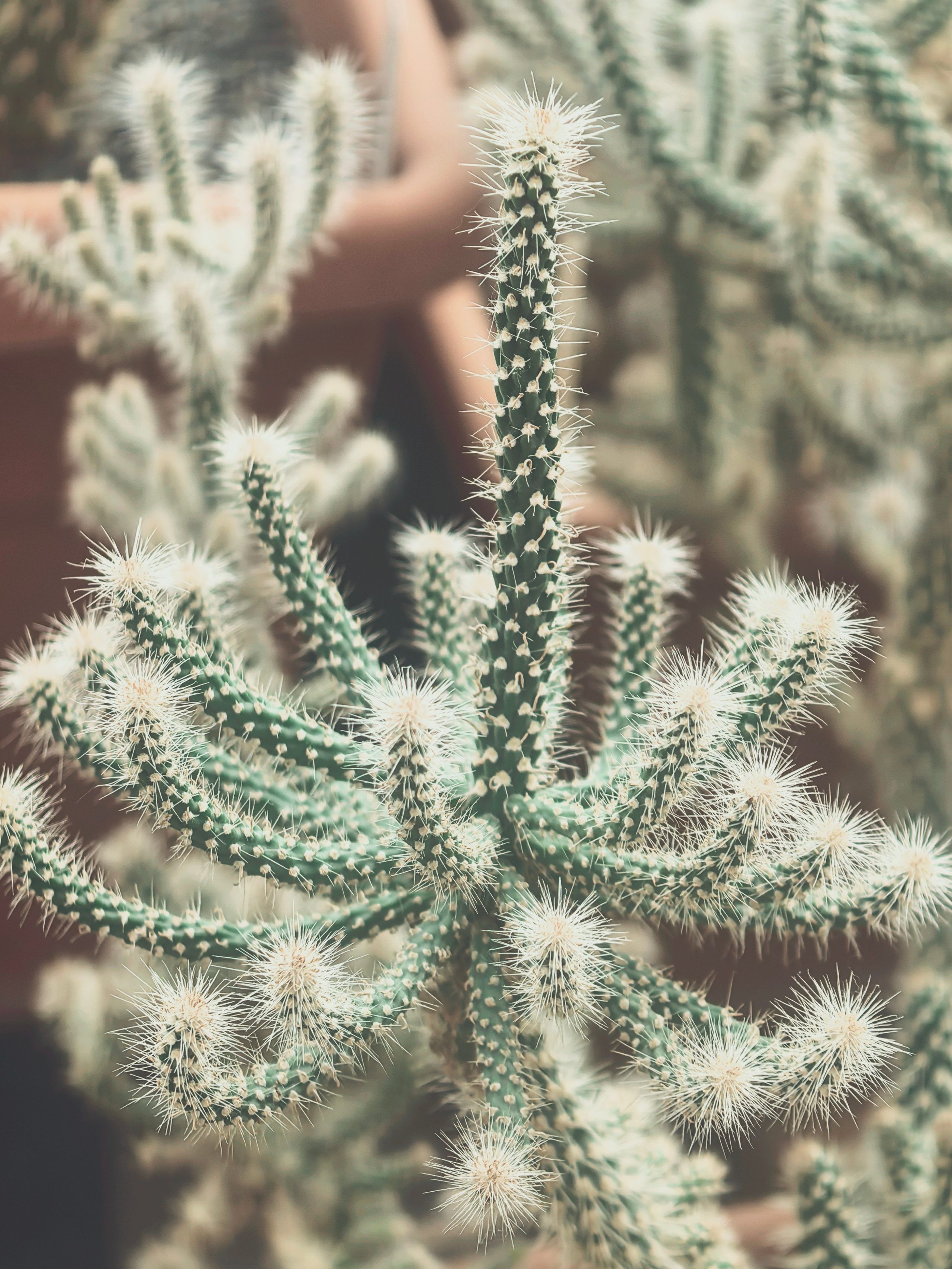 ПочтиМАКРО. Школьные выпускные альбомы в Москве Марина Николаева