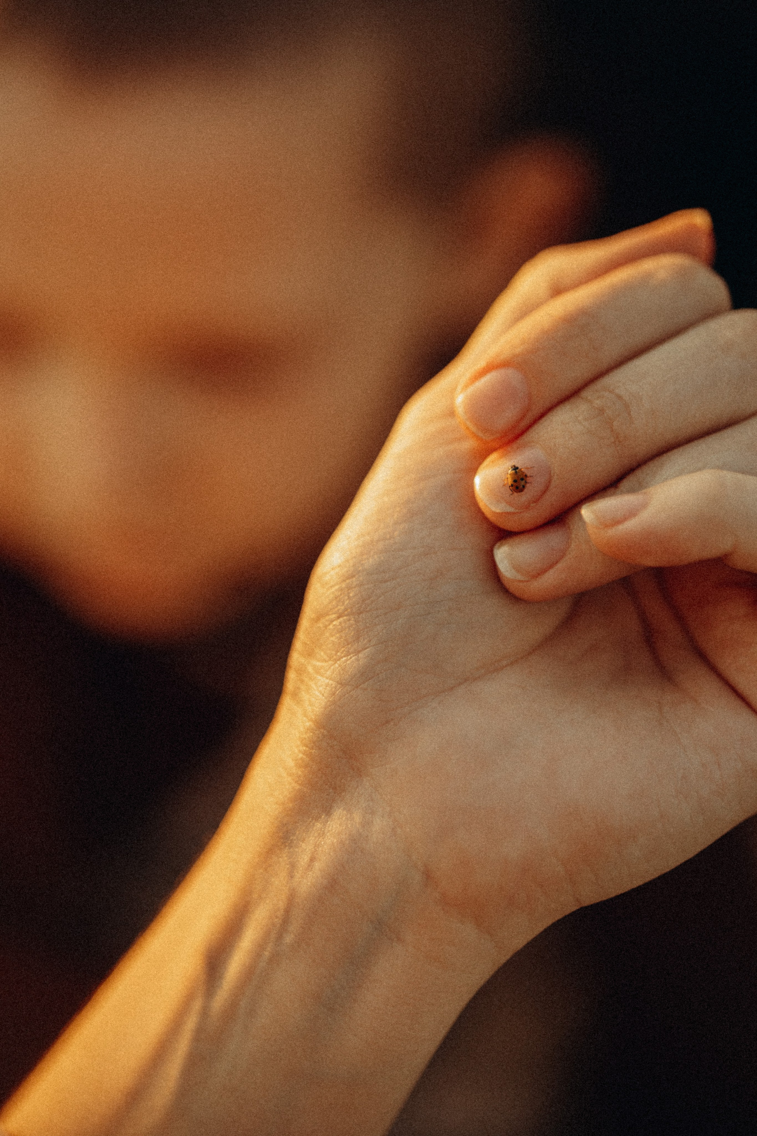 В лучах заката. Lifestyle семейный и детский фотограф в Омске Иванова Екатерина