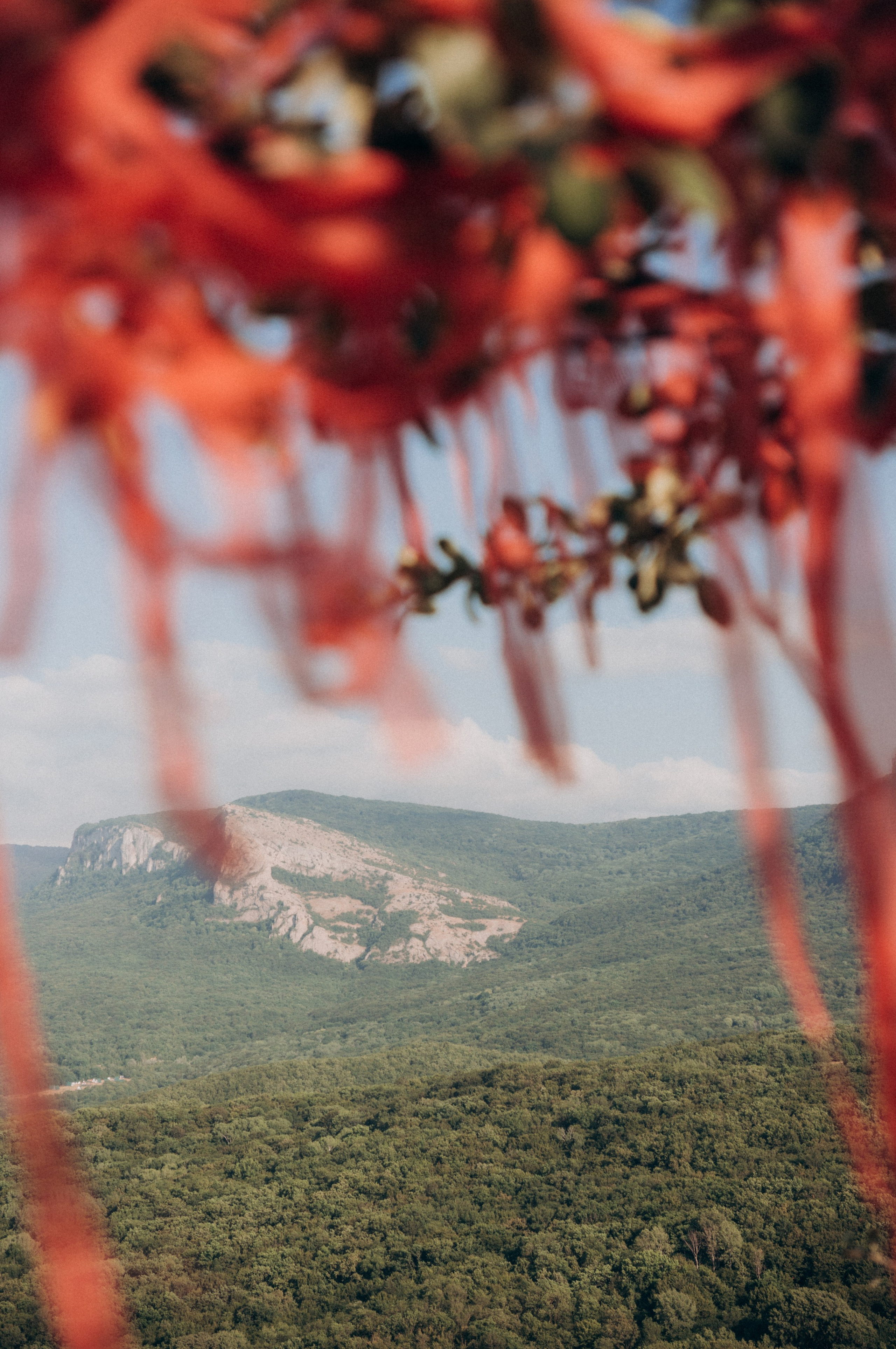 Праздник Полной луны | эко-парк «Шепот трав». Обо мне