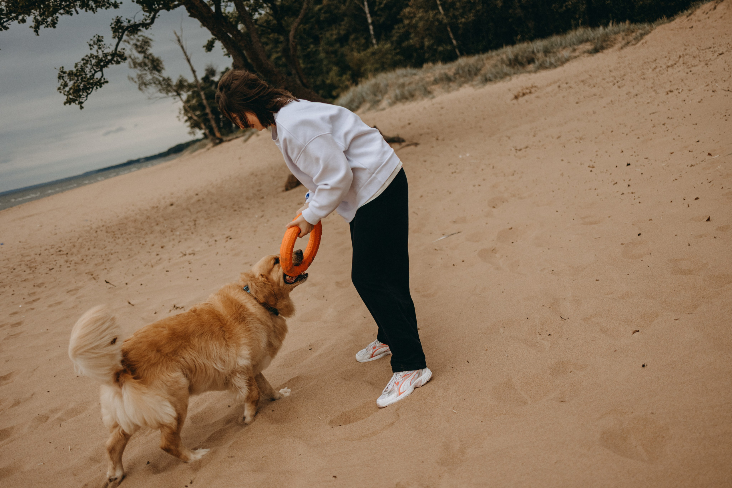 Фоси и его семьи. Фотограф — Анималист | Санкт-Петербург