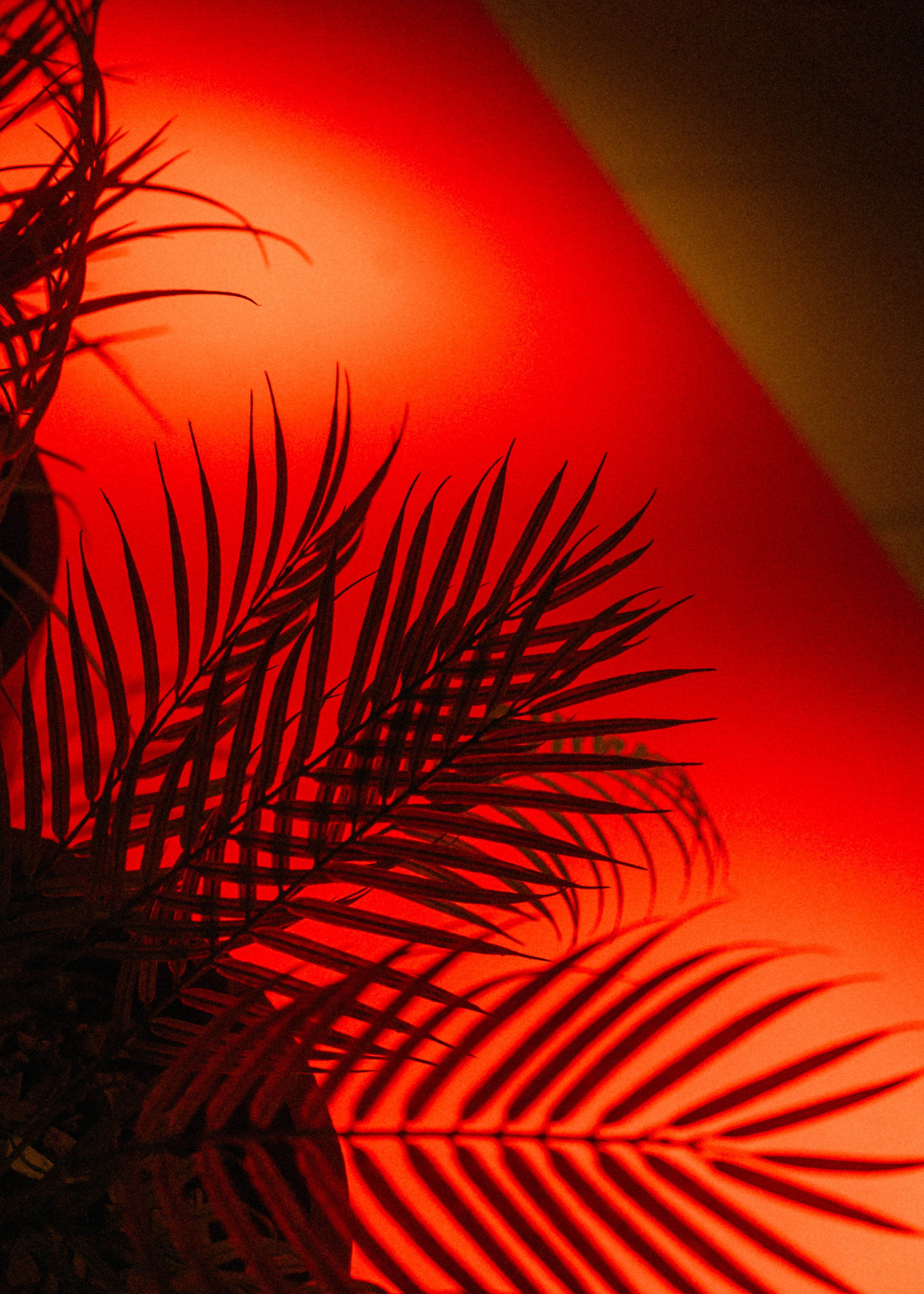 Съемки мероприятий. Главная