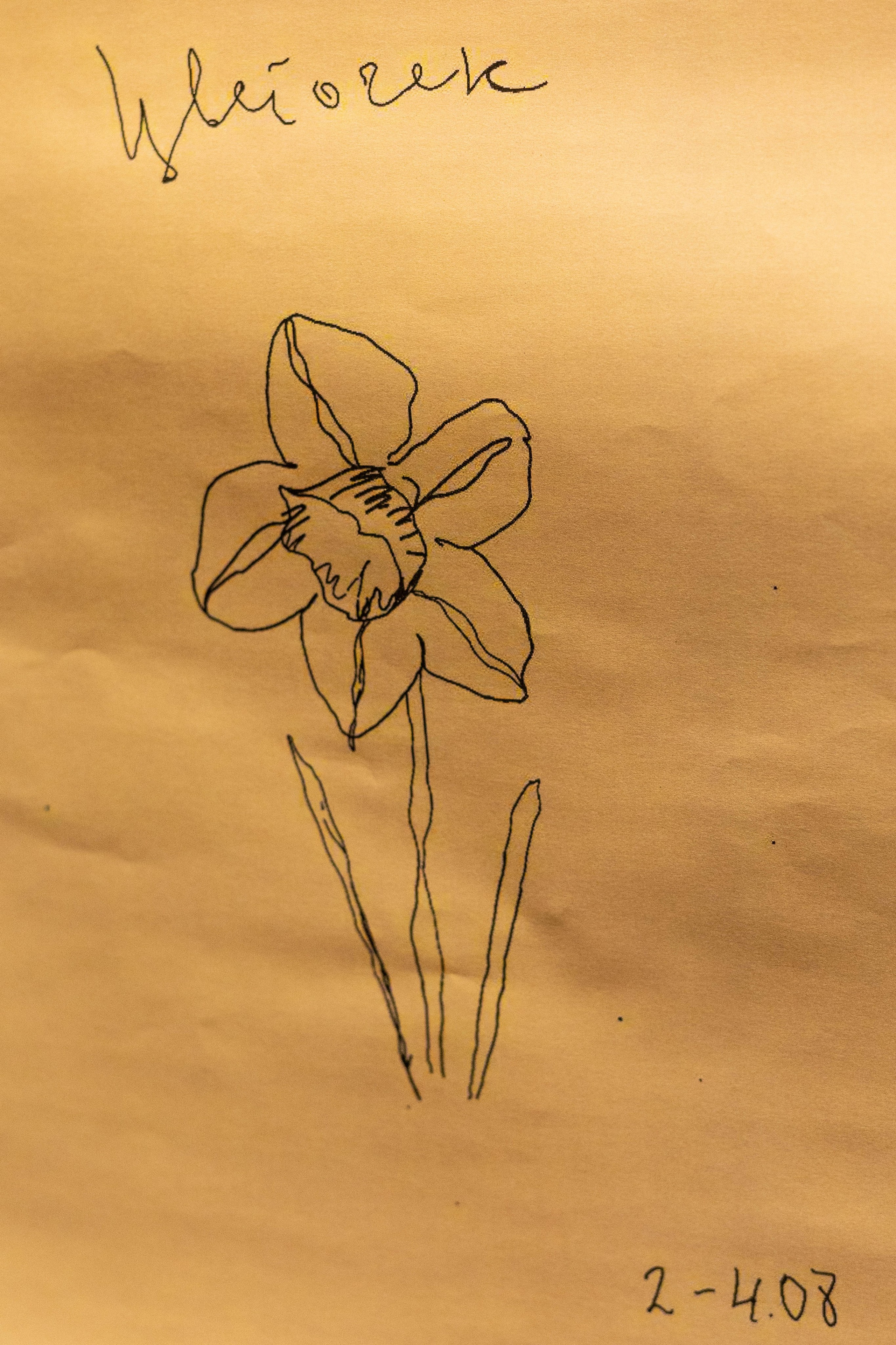 Выставка «Цветочек». Фотограф Шурыгина Эльвира Москва