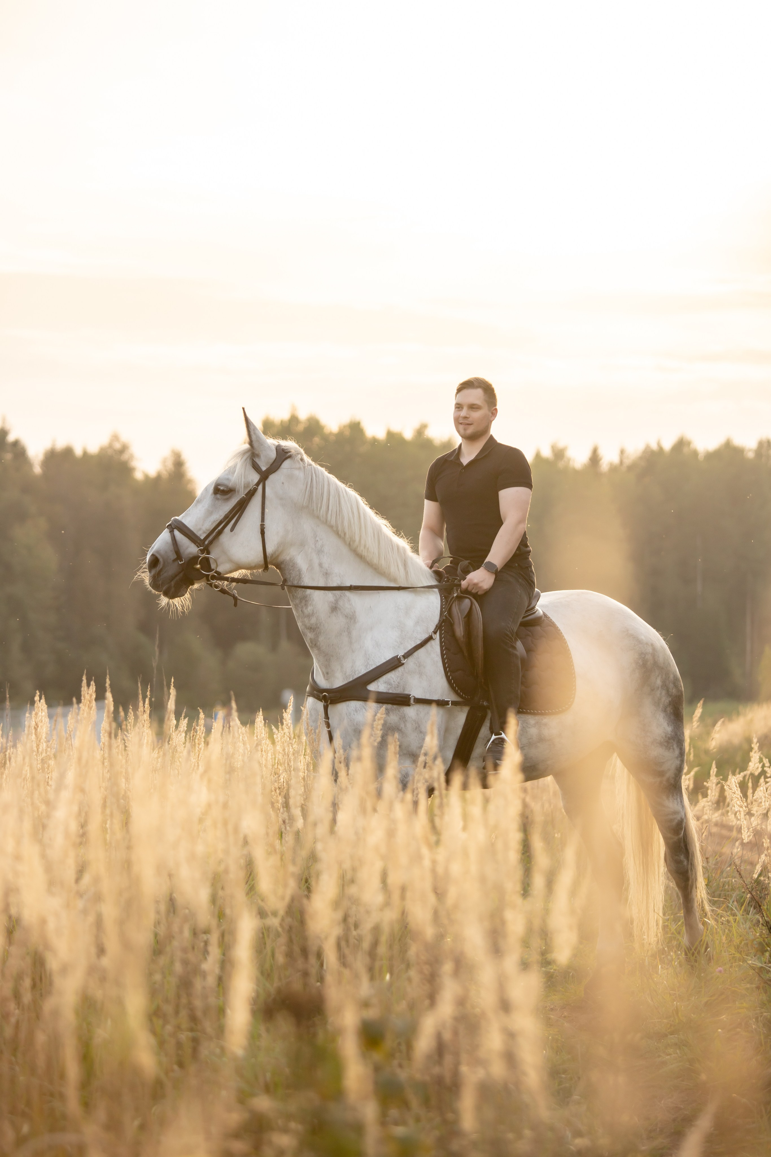 Фотопрогулки с Рич Бич. Конный фотограф в Санкт-Петербурге Анна Лебедева