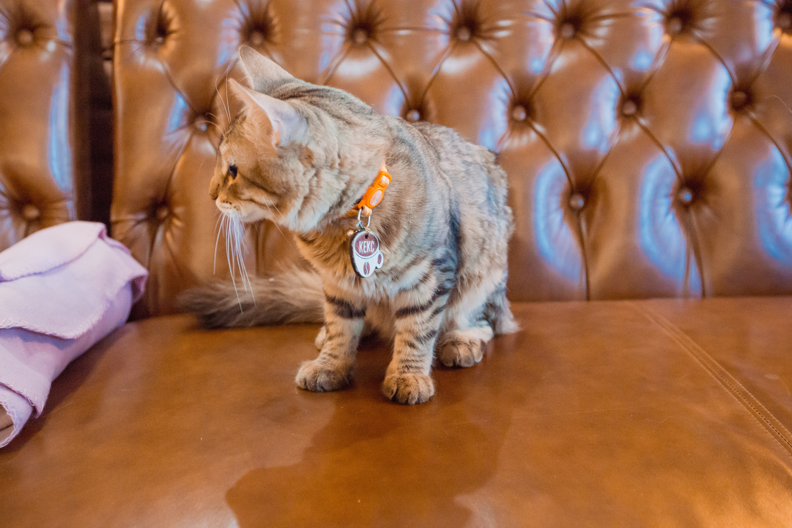 Coffe Cake На куйбышева. Фотограф в Самаре Максим Тырин