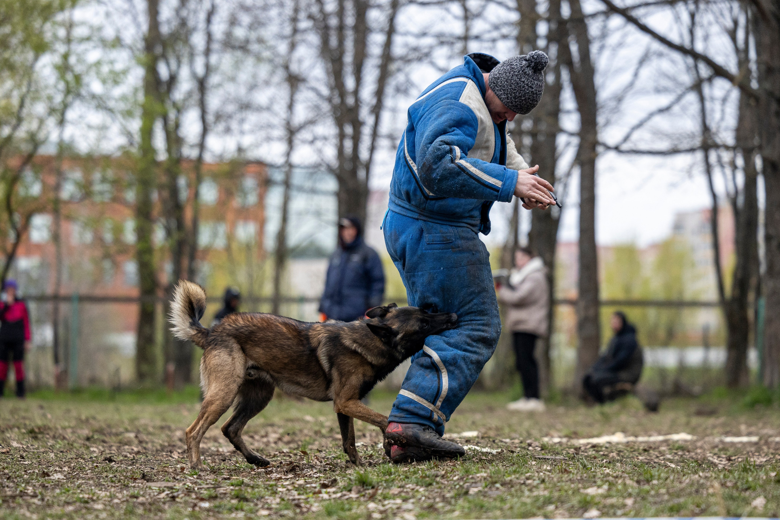 Квалификационные состязания по мондьорингу г. Вологда 11.05.24. Фотограф-анималист Анна Маринич