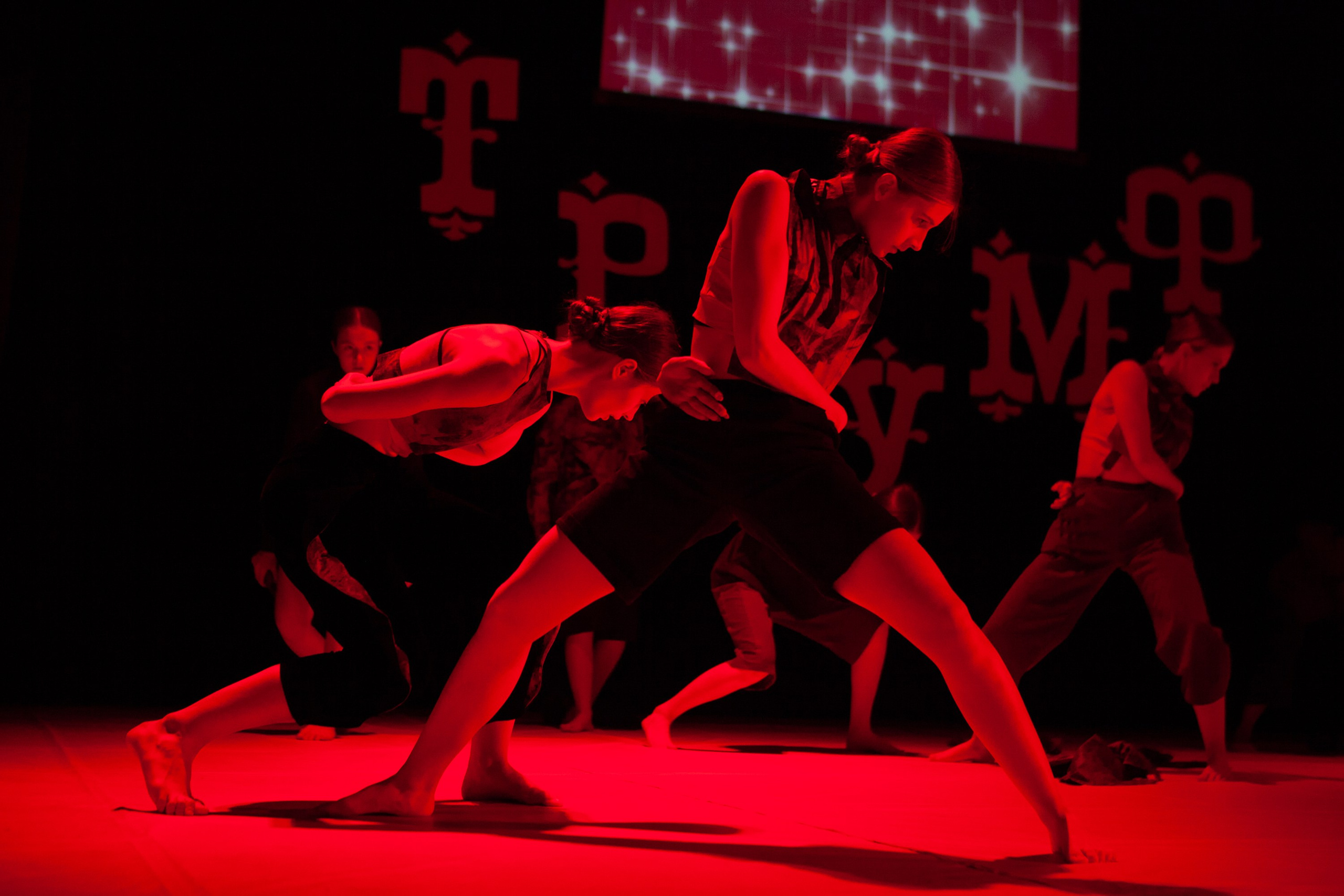 Концерты. Виолетта Скрипка