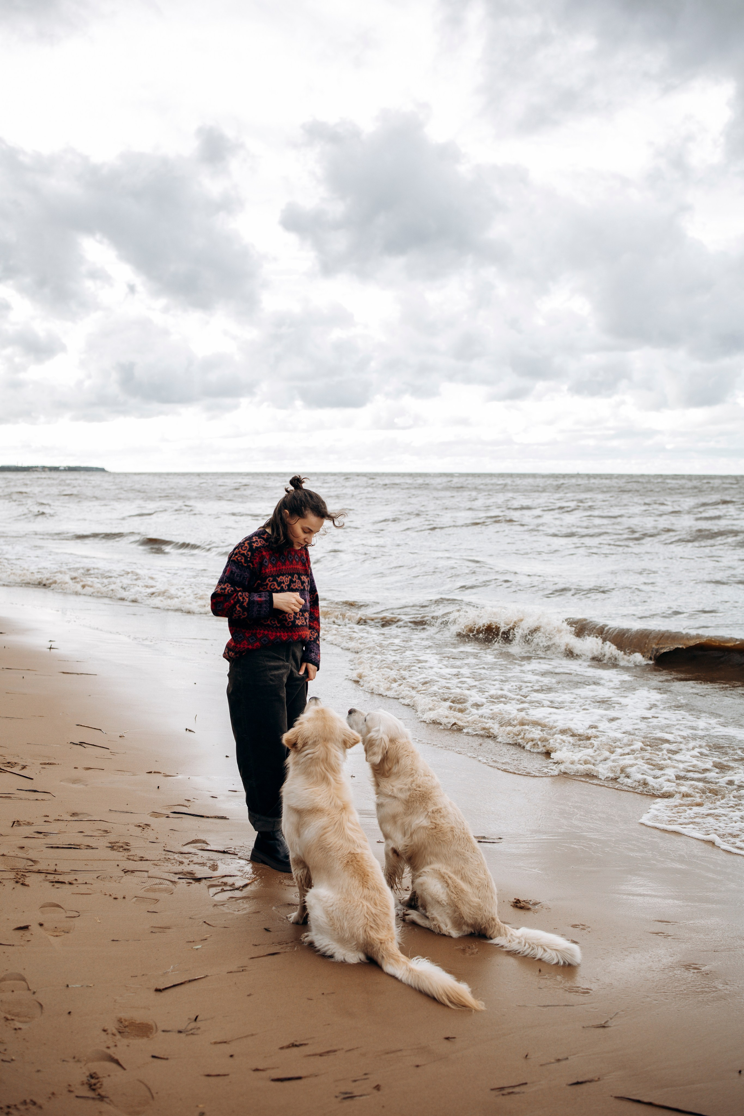 Прогулка Насти с Арчи и Арагоном. Фотограф-анималист в Санкт-Петеребурге Титова Алиса