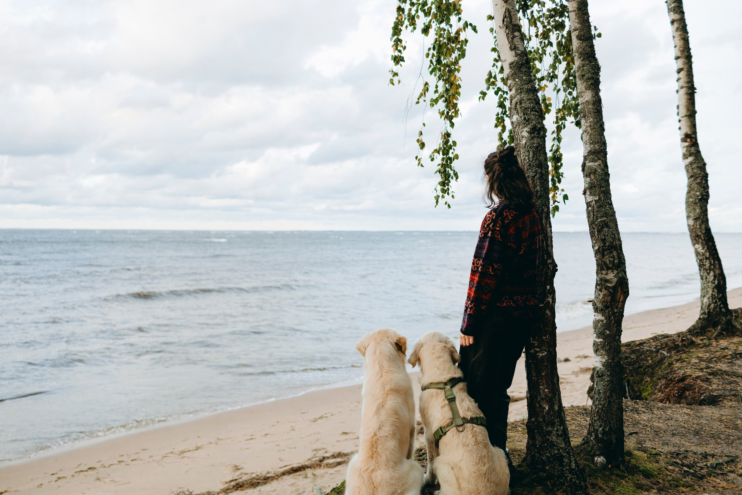 Прогулка Насти с Арчи и Арагоном. Фотограф-анималист в Санкт-Петеребурге Титова Алиса