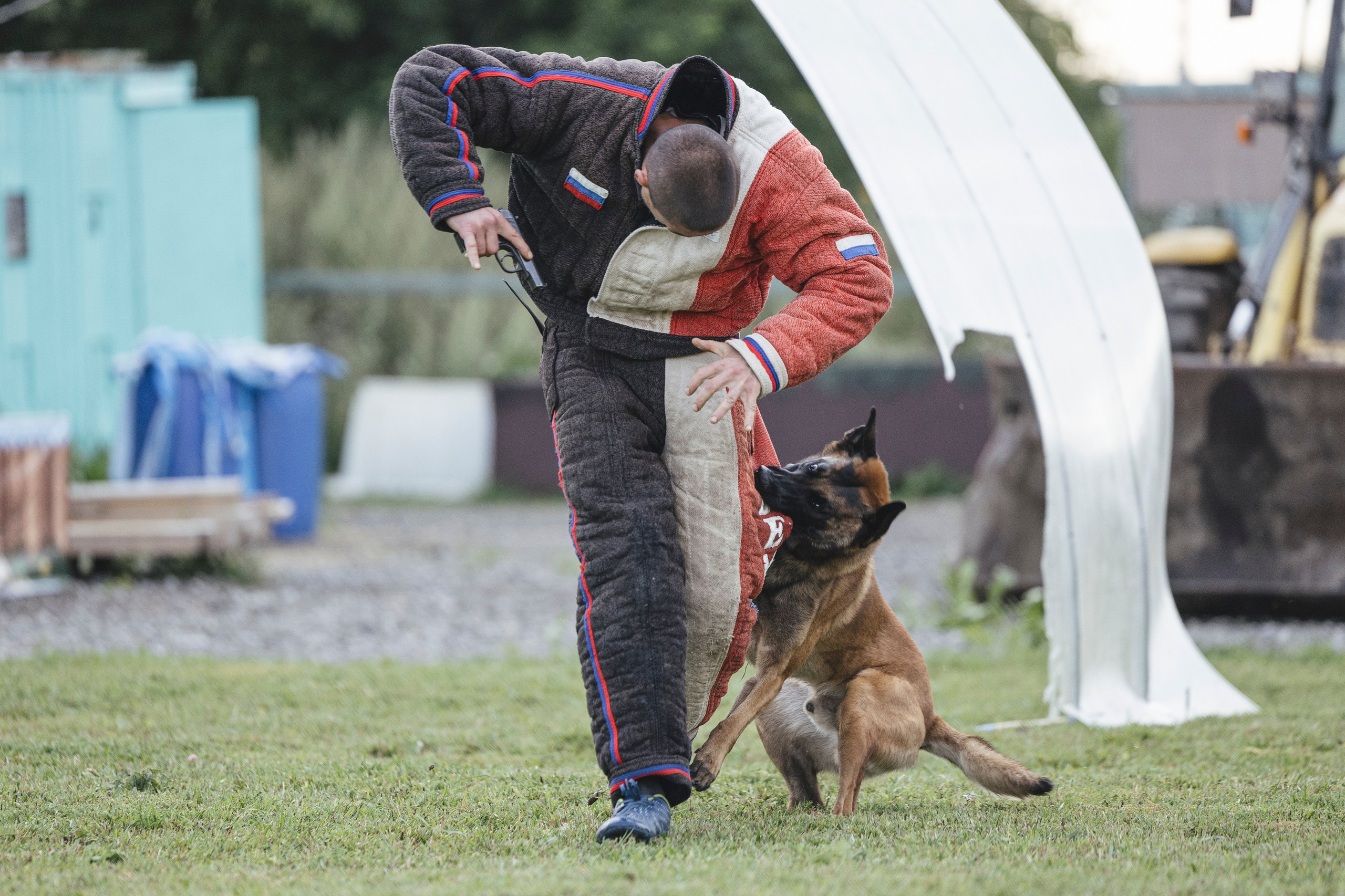 08.08.25-10.08.25 ЧР по мондьорингу г. Вологда. Фотограф-анималист Анна Маринич