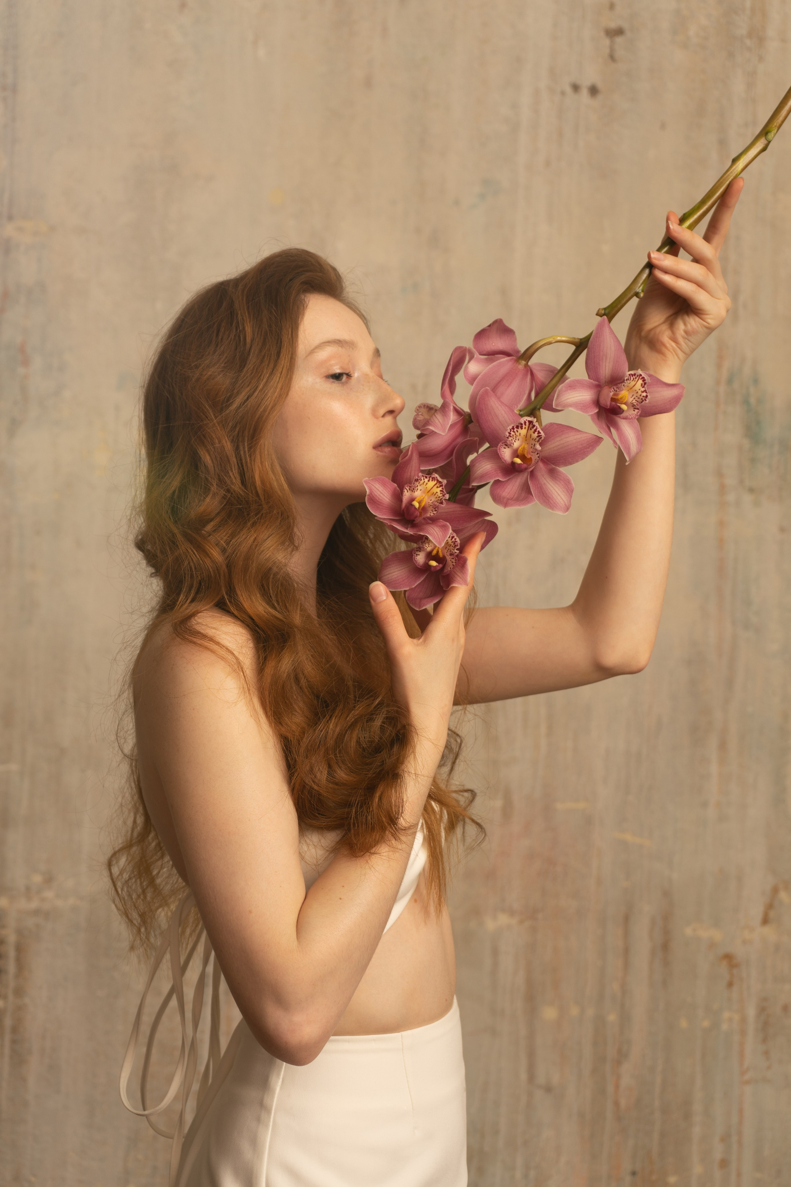 Орхидея. Фотограф — Валерия Валерьевна — Иркутск