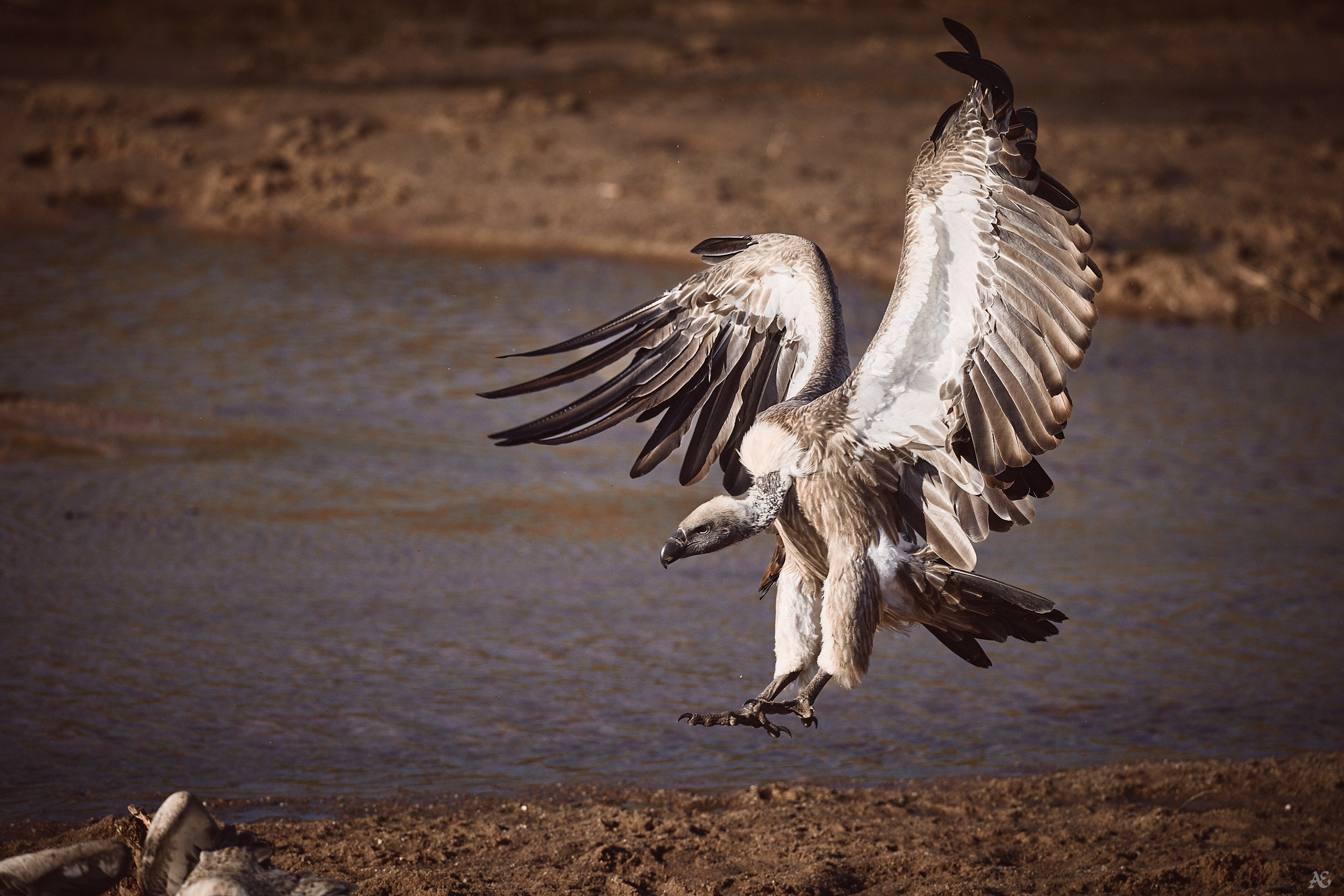 Кто тут без меня ест!?