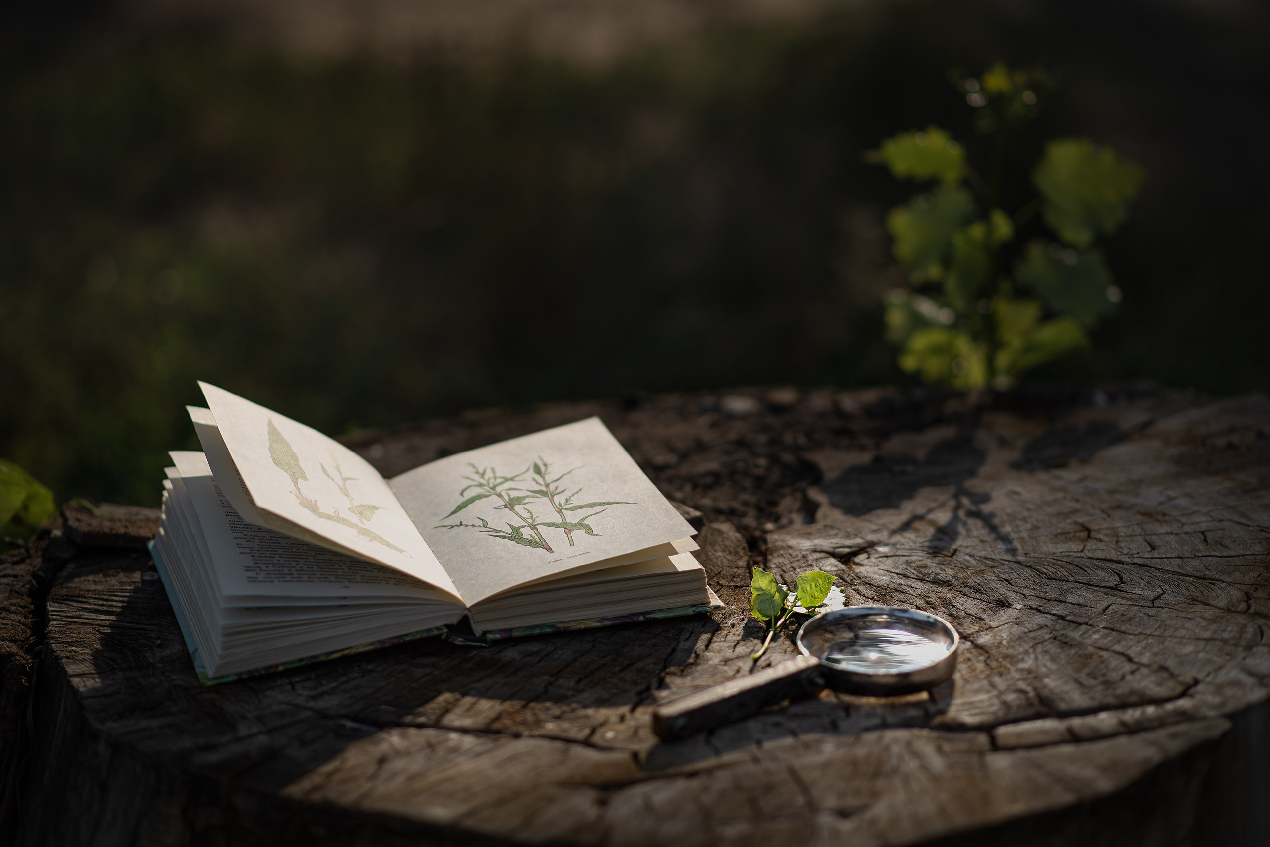 Детский портрет фотосессия. Душевная фотография от сердца к сердцу Марина Жиделева фотограф Москва