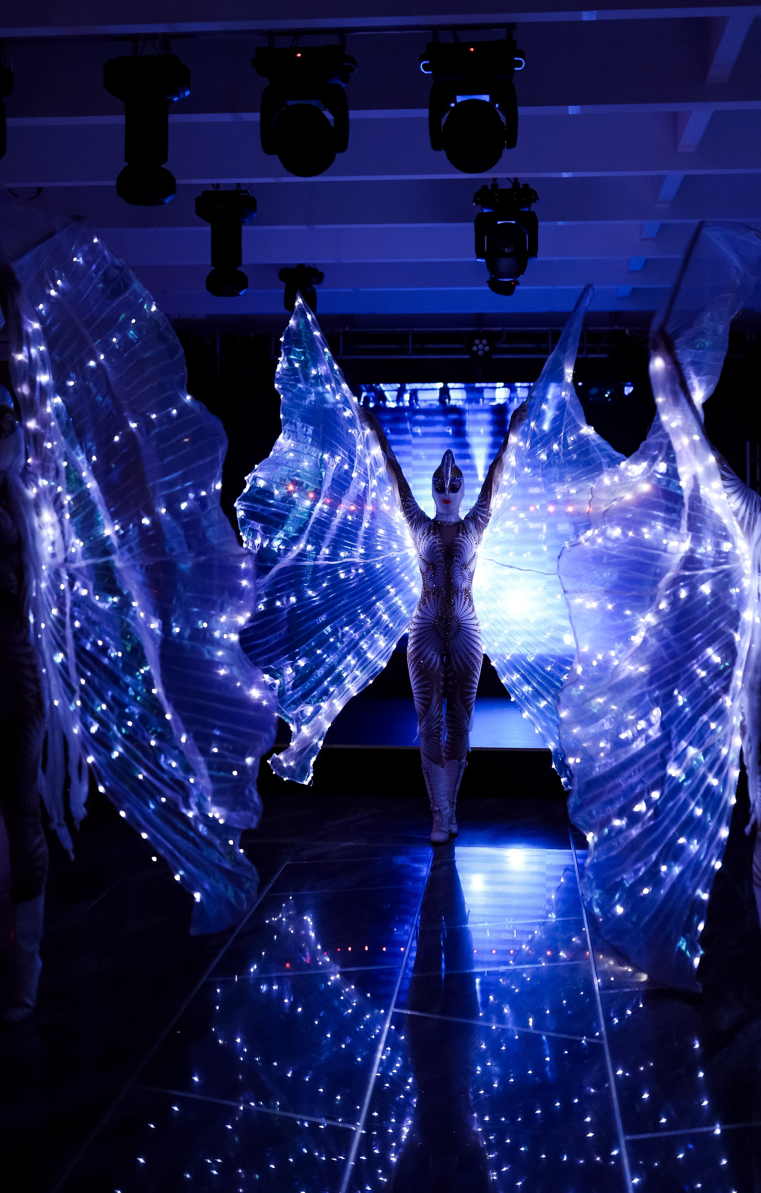 Роскошный вечер Наталии Карамянц