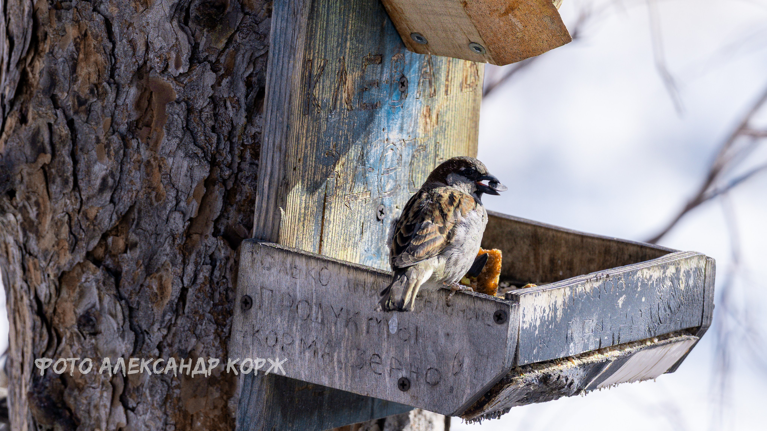 Северный поселок Айхал. Фотографии и видеосъемка, Айхал, Удачный, Якутия. Фотографии Айхал