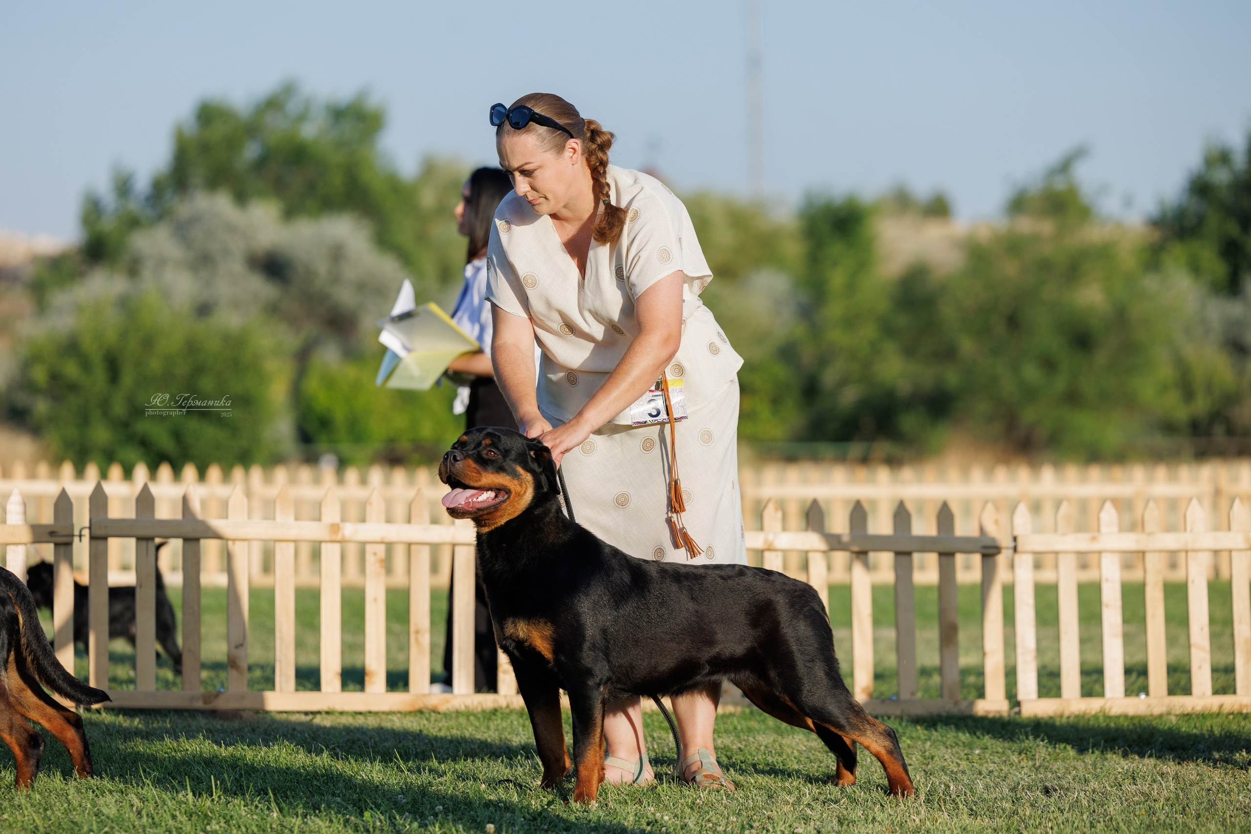 Ереван 3хCACIB 23-25.06.2025. Фотограф-анималист Юлия Германика