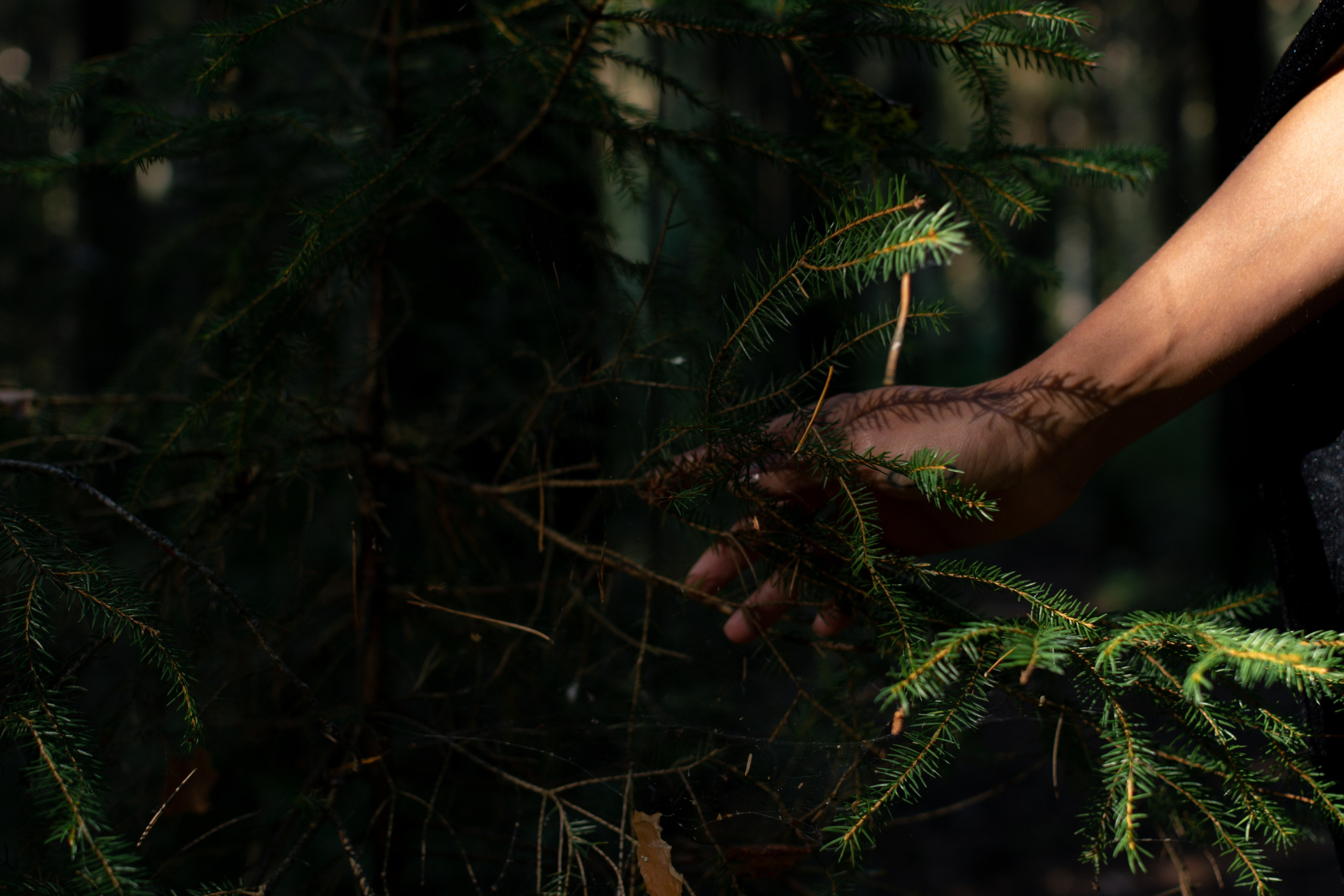 Портретный и репортажный Фотограф в Москве Александра Комарницкая