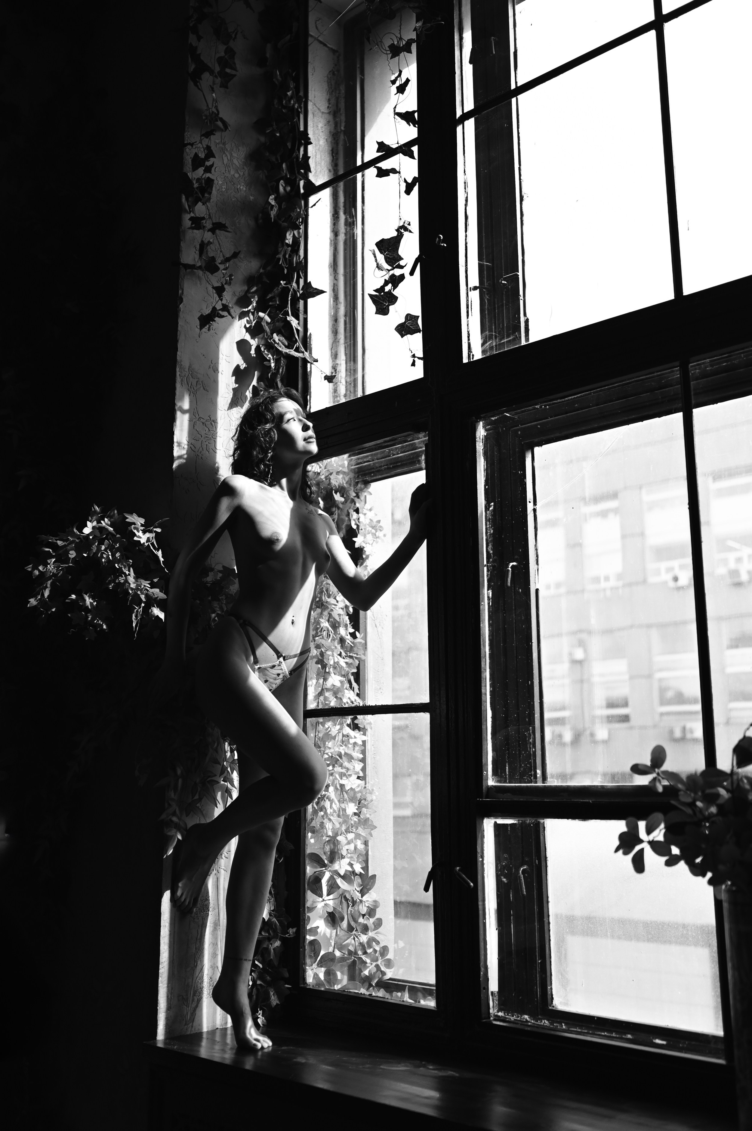 Level 2 — Monochrome nu